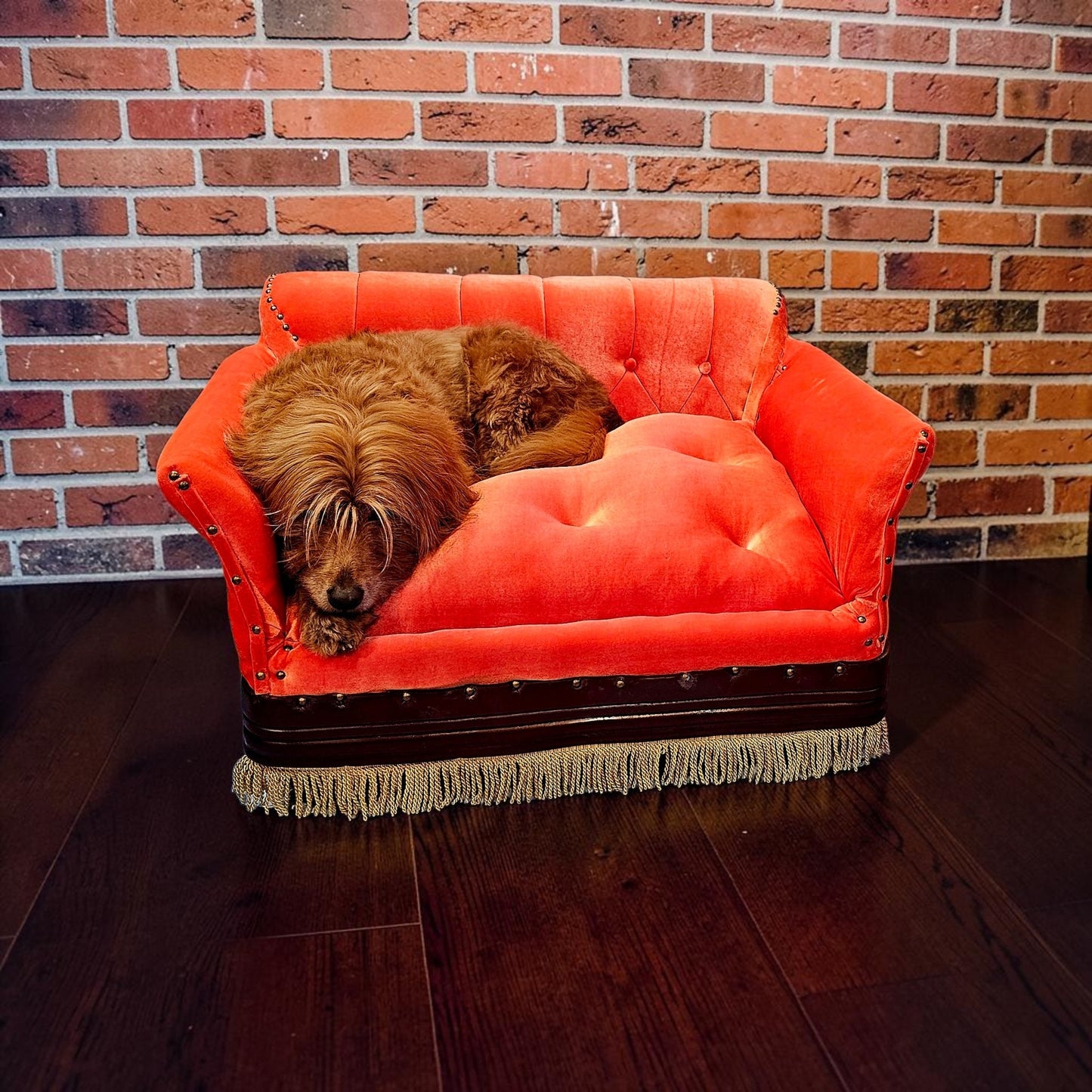 Friends Orange Pet Sofa, Central Perk Pet Sofa, Friends dog couch
