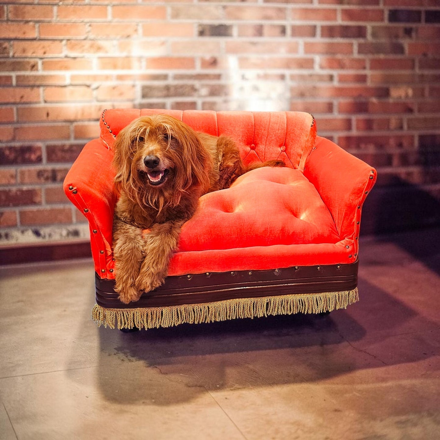 Friends Orange Pet Sofa, Central Perk Pet Sofa, Friends dog couch