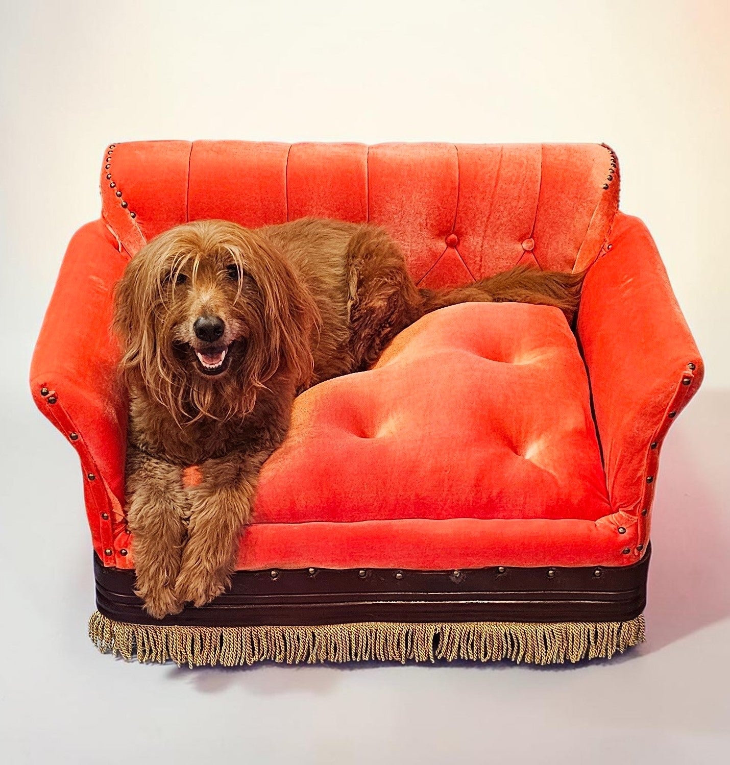 Friends Orange Pet Sofa, Central Perk Pet Sofa, Friends dog couch