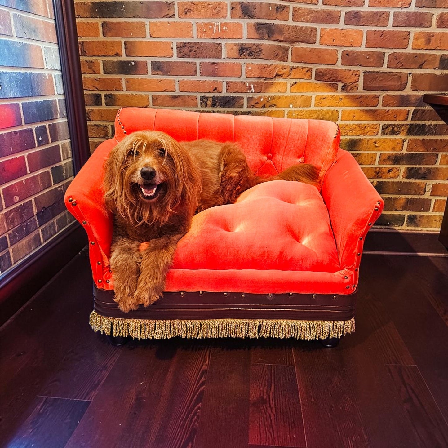 Friends Orange Pet Sofa, Central Perk Pet Sofa, Friends dog couch