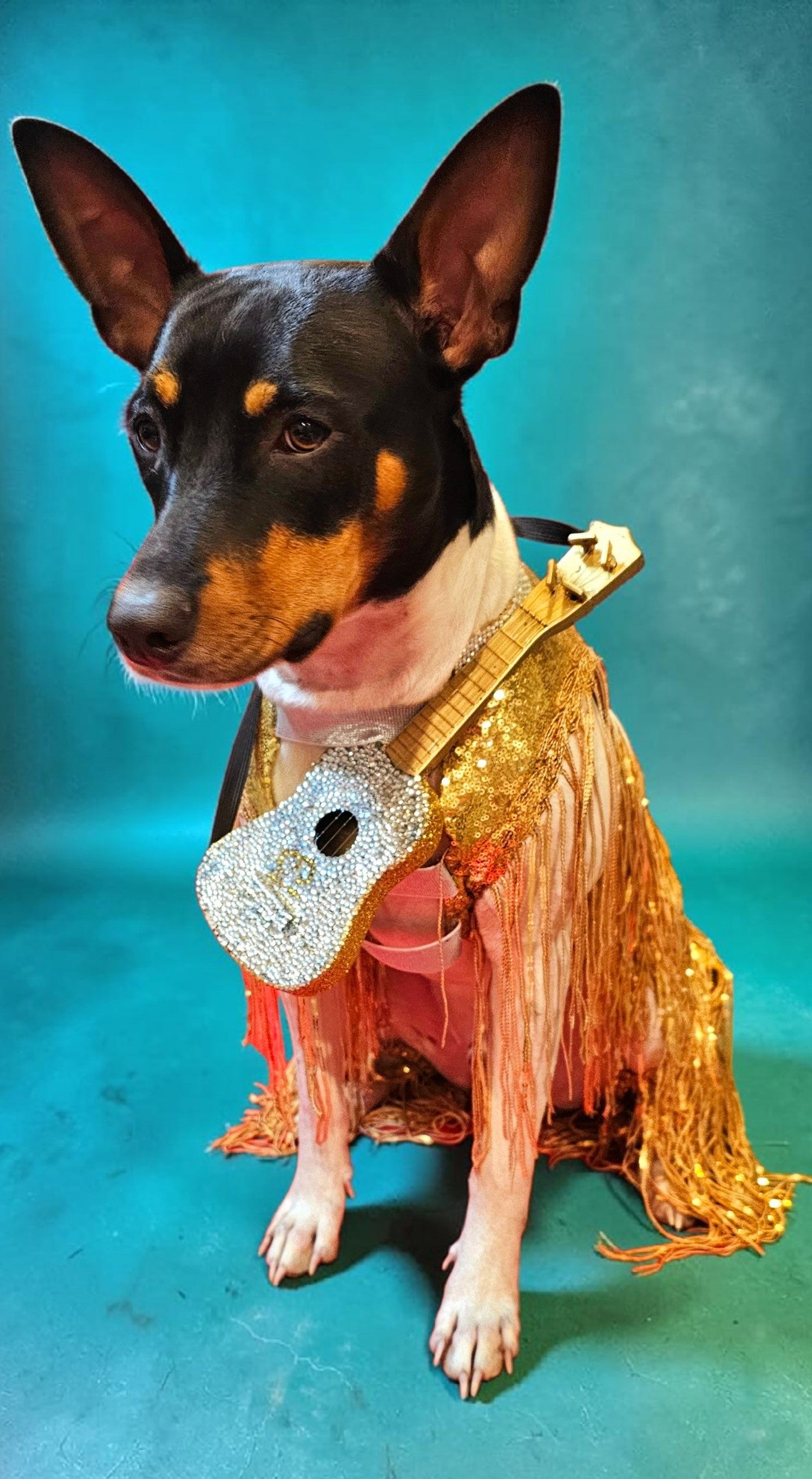 Fearless Era pet costume, Taylor Swift Fearless era pet costume, Gold sequin tassel pet dress, Fearless dog costume, Fearless cat costume