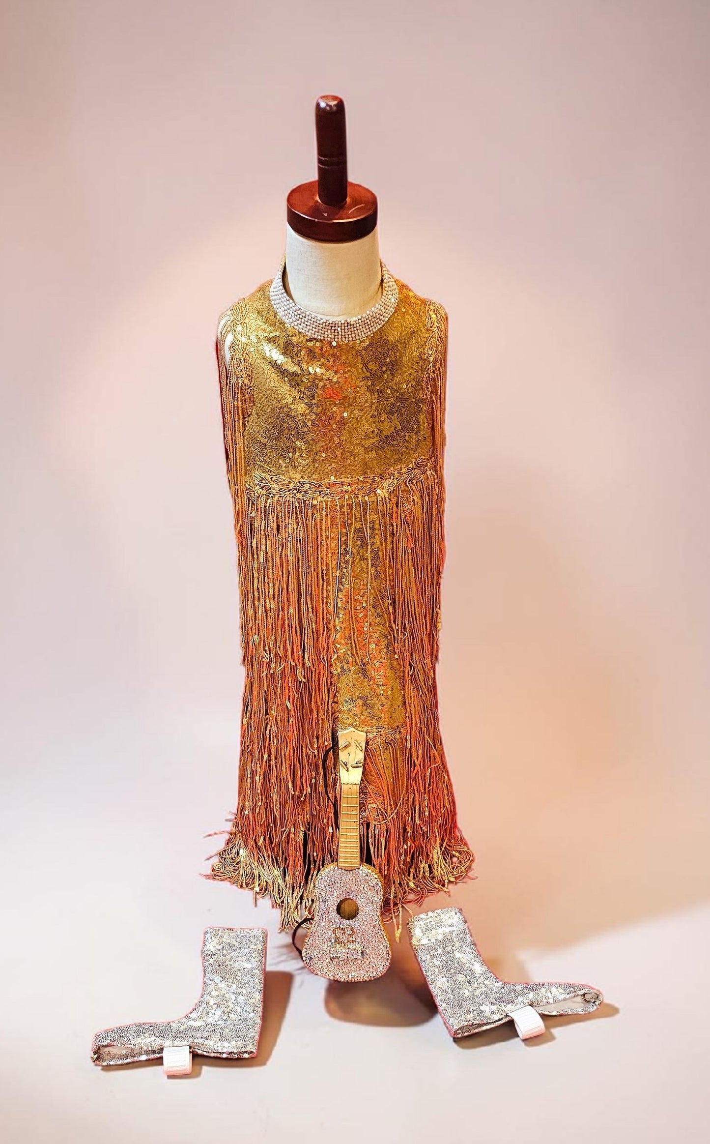 Fearless Era pet costume, Taylor Swift Fearless era pet costume, Gold sequin tassel pet dress, Fearless dog costume, Fearless cat costume