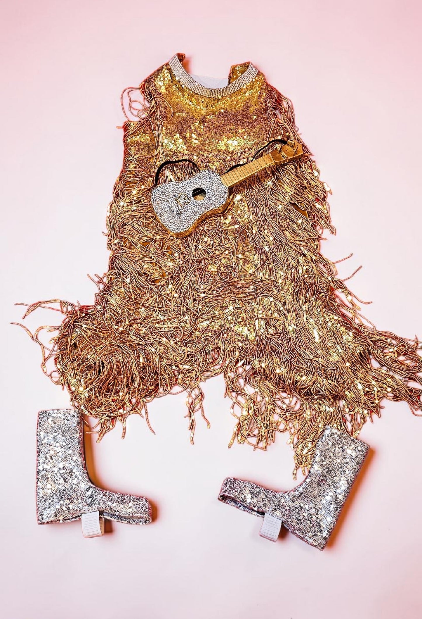 Fearless Era pet costume, Taylor Swift Fearless era pet costume, Gold sequin tassel pet dress, Fearless dog costume, Fearless cat costume