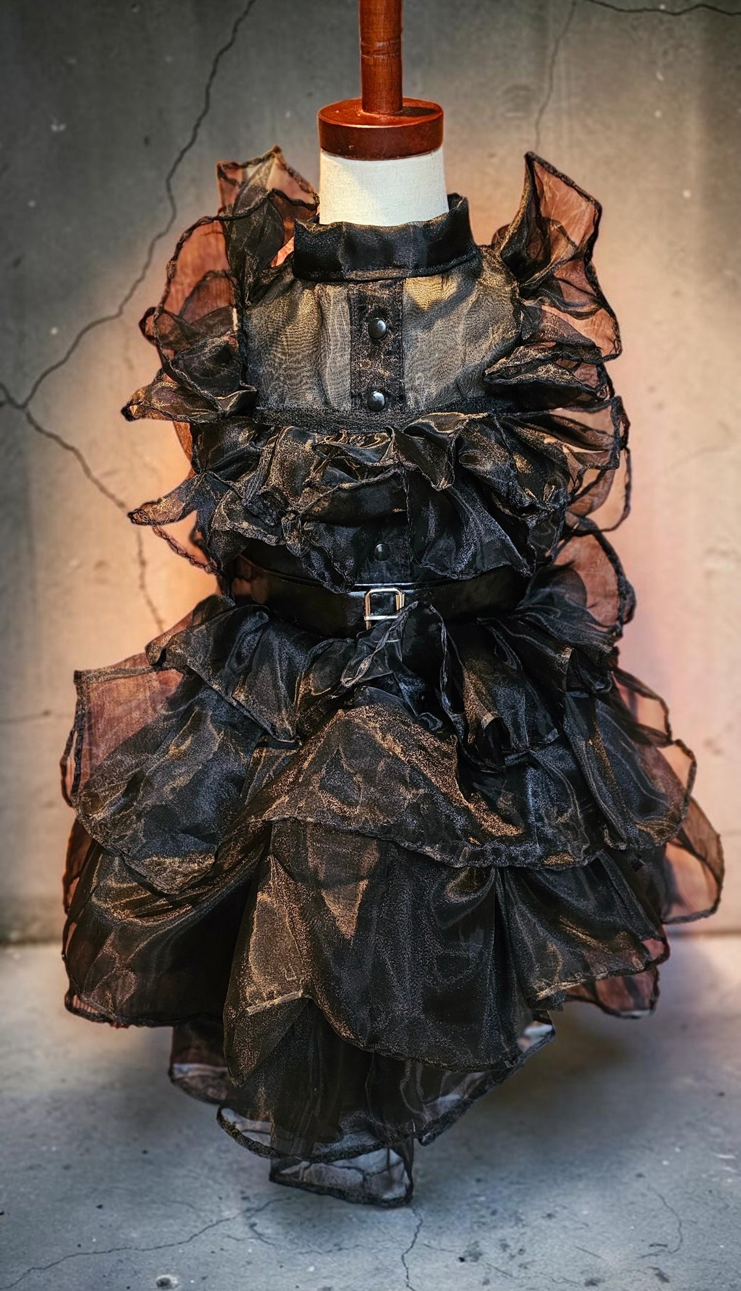 Wednesday Raven Pet Prom dress, Wednesday Pet Costume, Wednesday Raven Dog dress