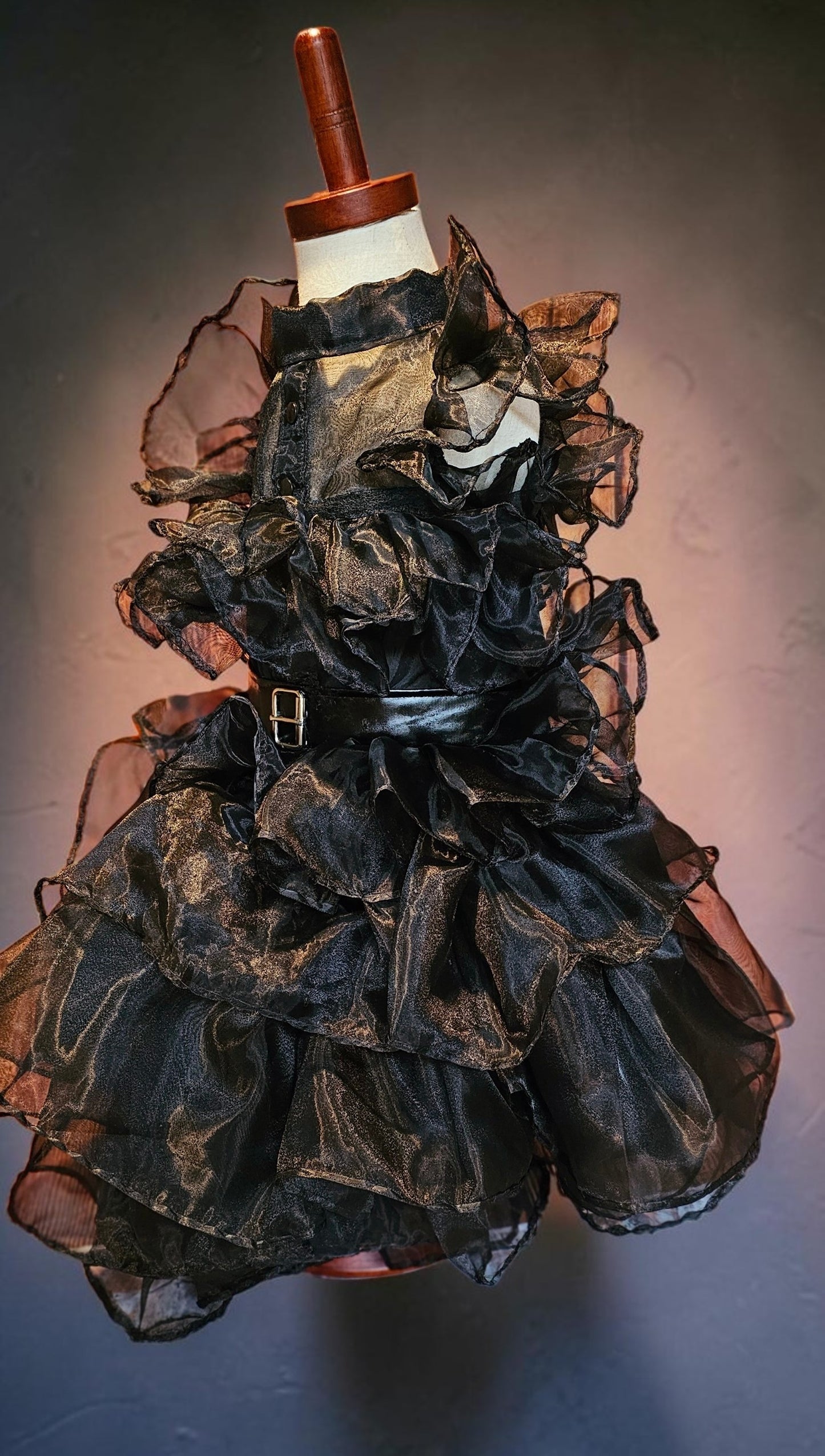 Wednesday Raven Pet Prom dress, Wednesday Pet Costume, Wednesday Raven Dog dress