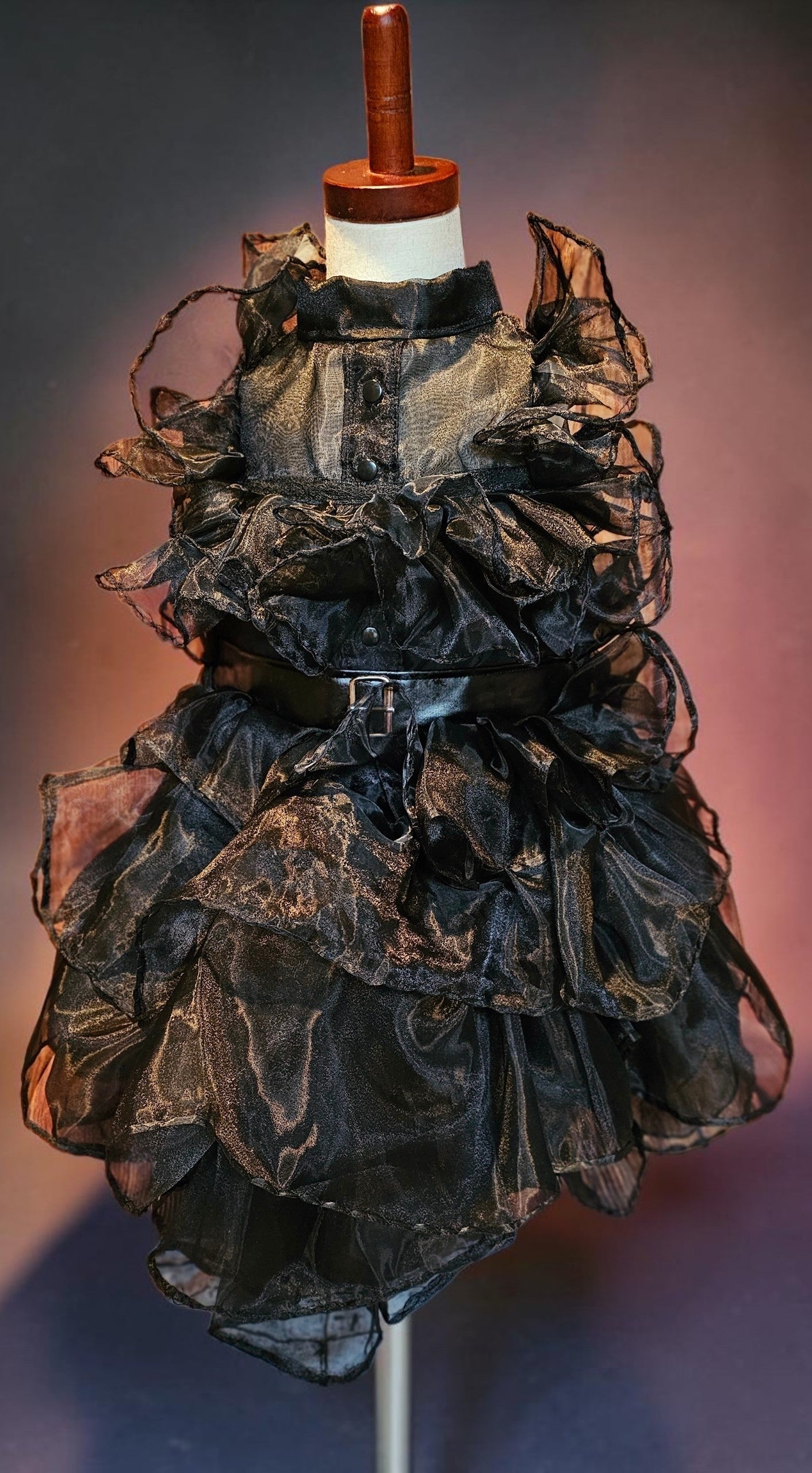 Wednesday Raven Pet Prom dress, Wednesday Pet Costume, Wednesday Raven Dog dress