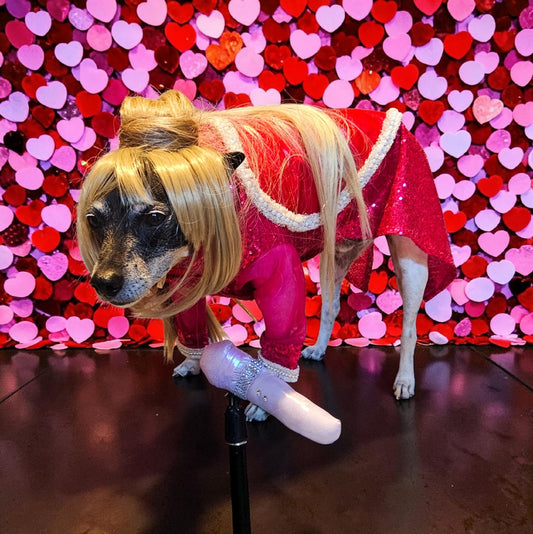 Taylor Swift pet dress, Taylor lover pet dress, Taylor Me pet dress, sequin heart pet dress