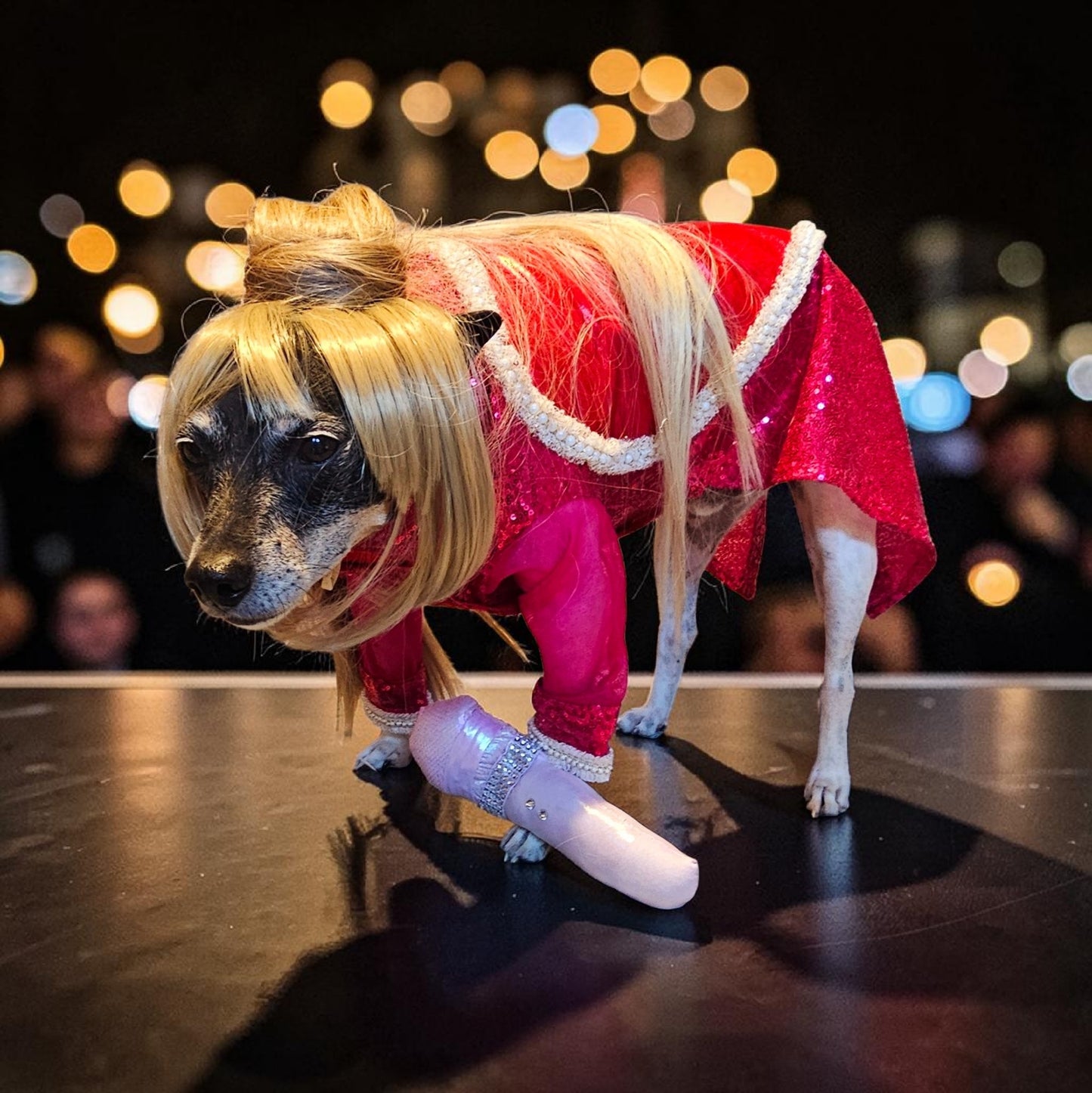 Taylor Swift pet dress, Taylor lover pet dress, Taylor Me pet dress, sequin heart pet dress