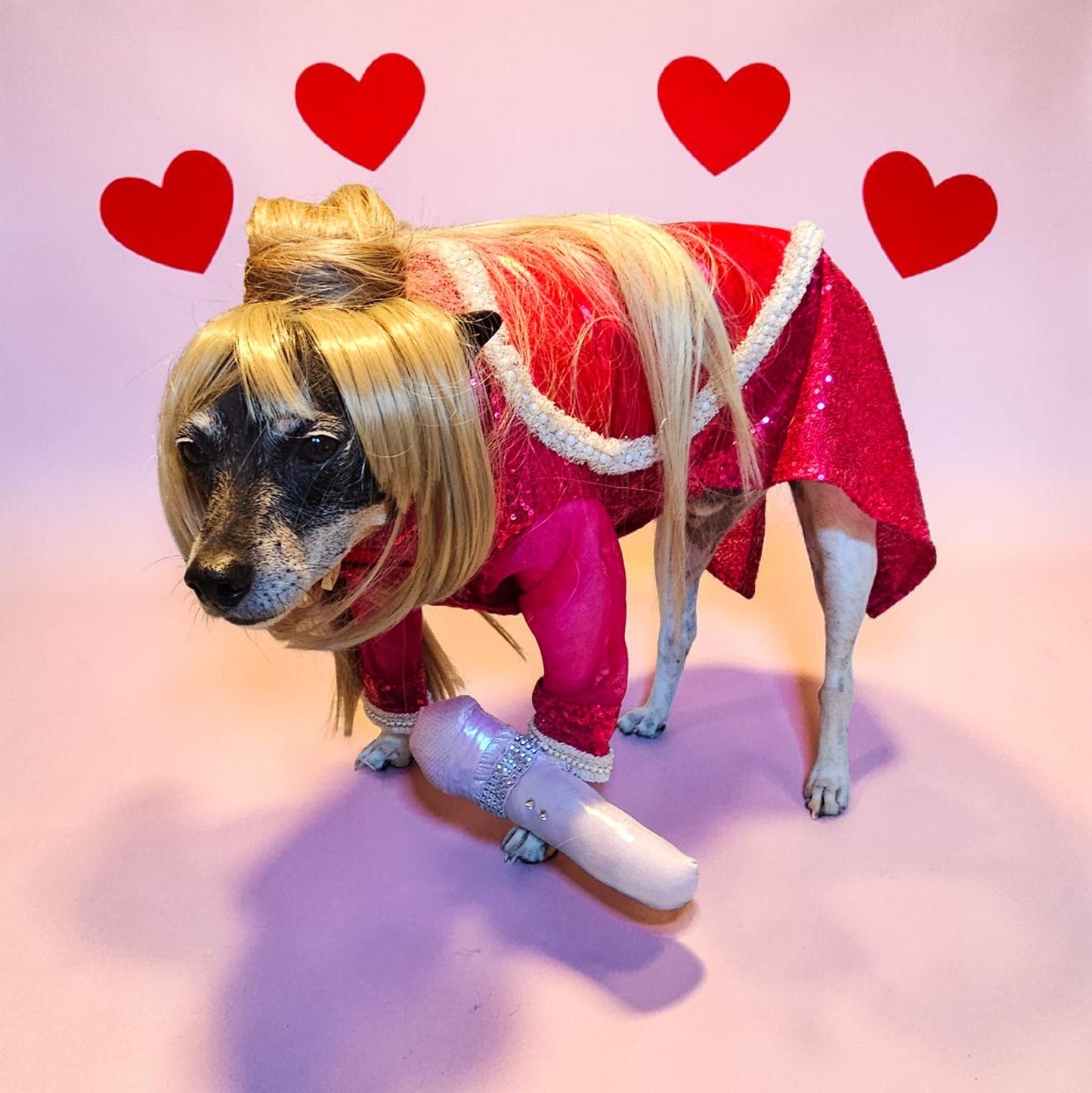 Taylor Swift pet dress, Taylor lover pet dress, Taylor Me pet dress, sequin heart pet dress