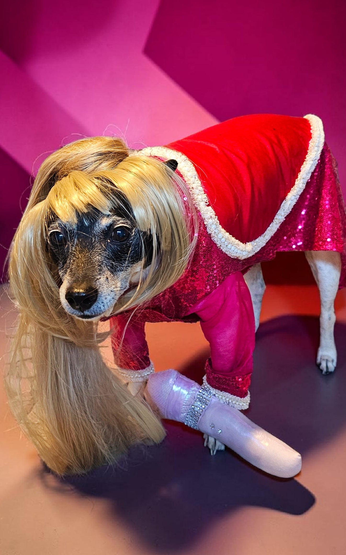 Taylor Swift pet dress, Taylor lover pet dress, Taylor Me pet dress, sequin heart pet dress