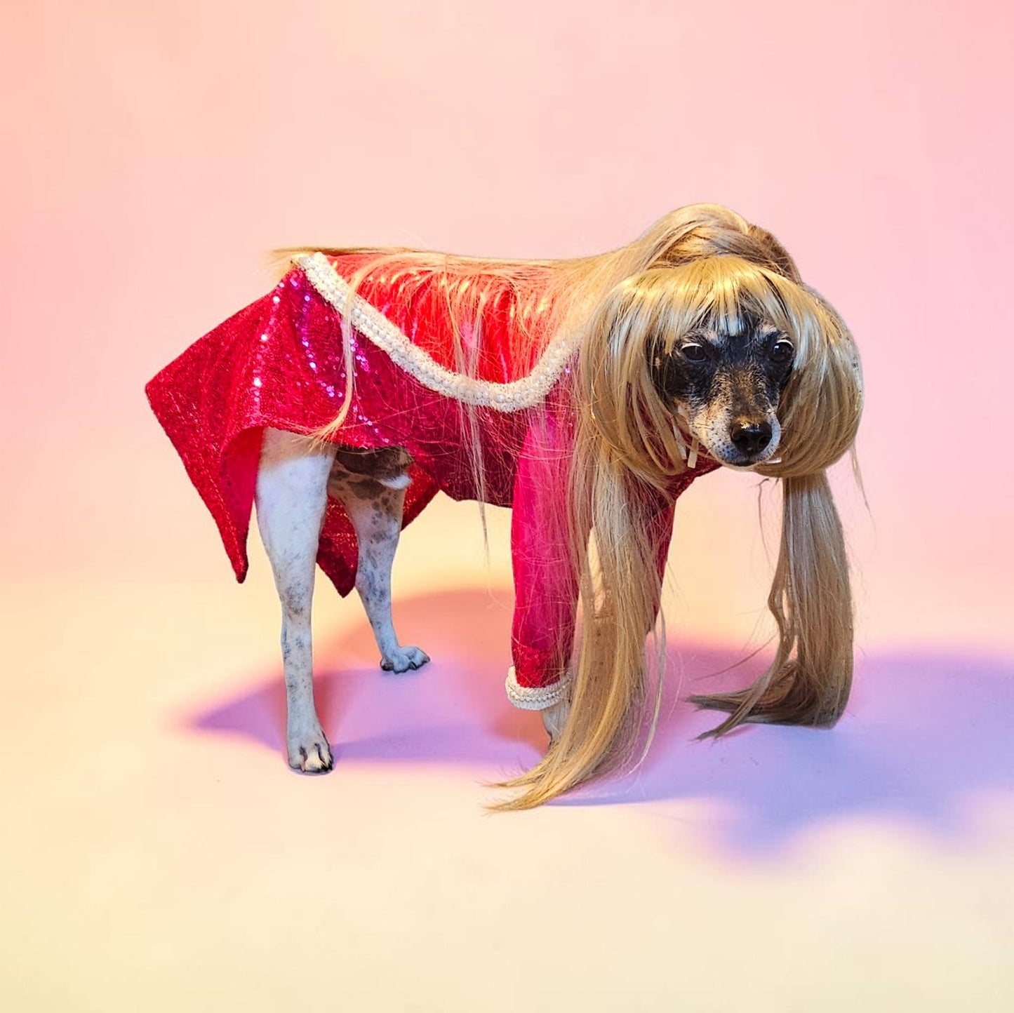 Taylor Swift pet dress, Taylor lover pet dress, Taylor Me pet dress, sequin heart pet dress
