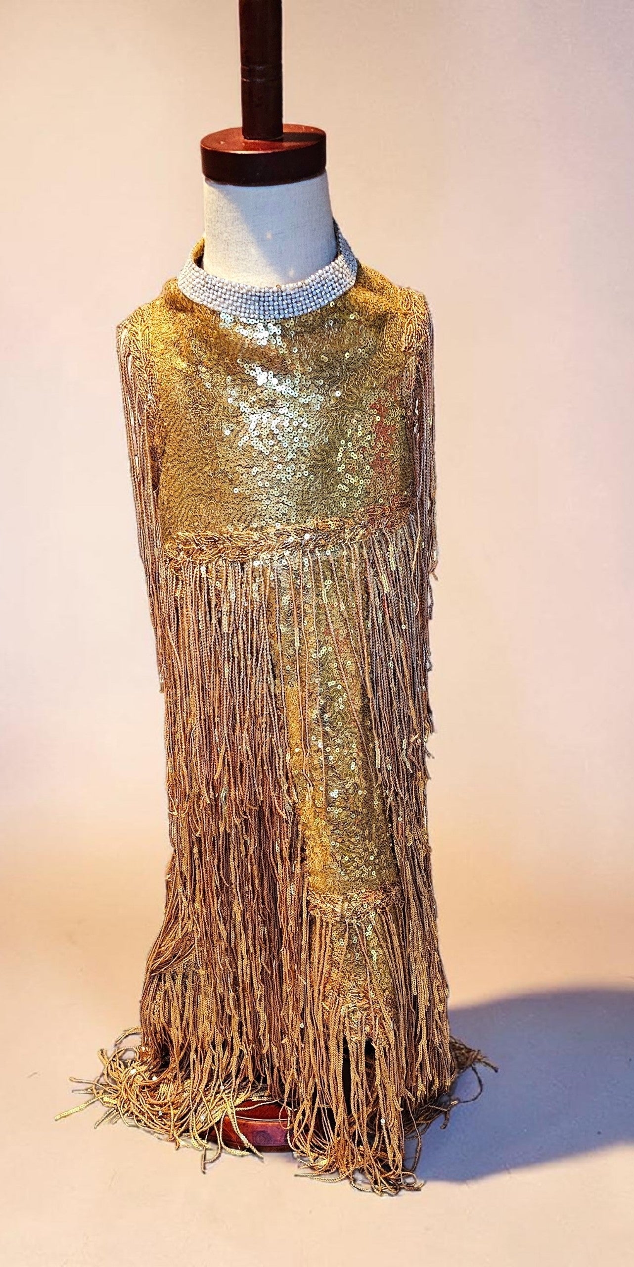 Fearless Era pet costume, Taylor Swift Fearless era pet costume, Gold sequin tassel pet dress, Fearless dog costume, Fearless cat costume