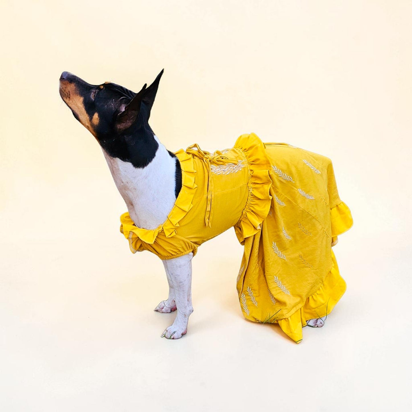 Evermore pet dress, Evermore pet costume, evermore pet dress, evermore dog dress