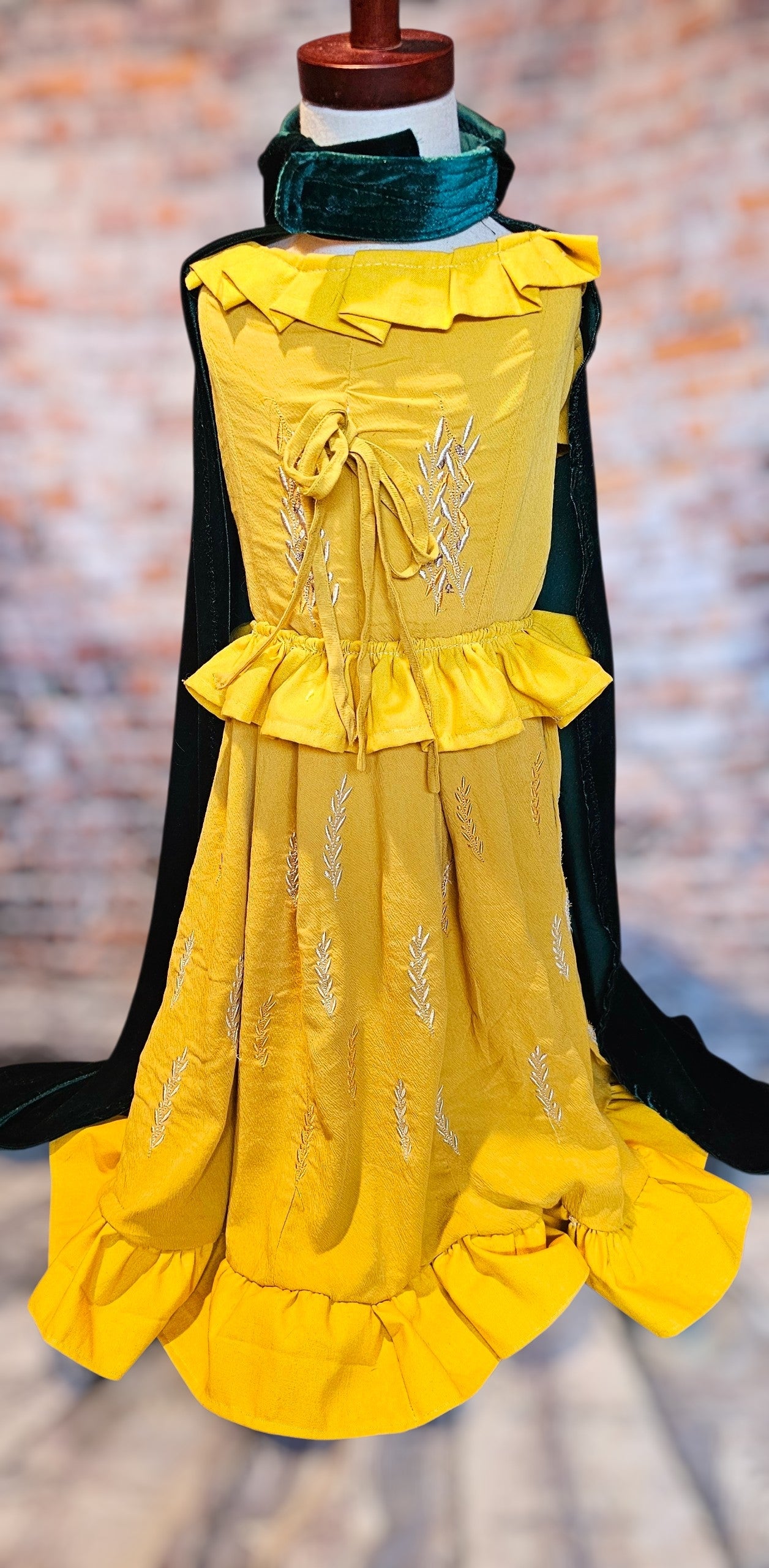 Evermore pet dress, Evermore pet costume, evermore pet dress, evermore dog dress