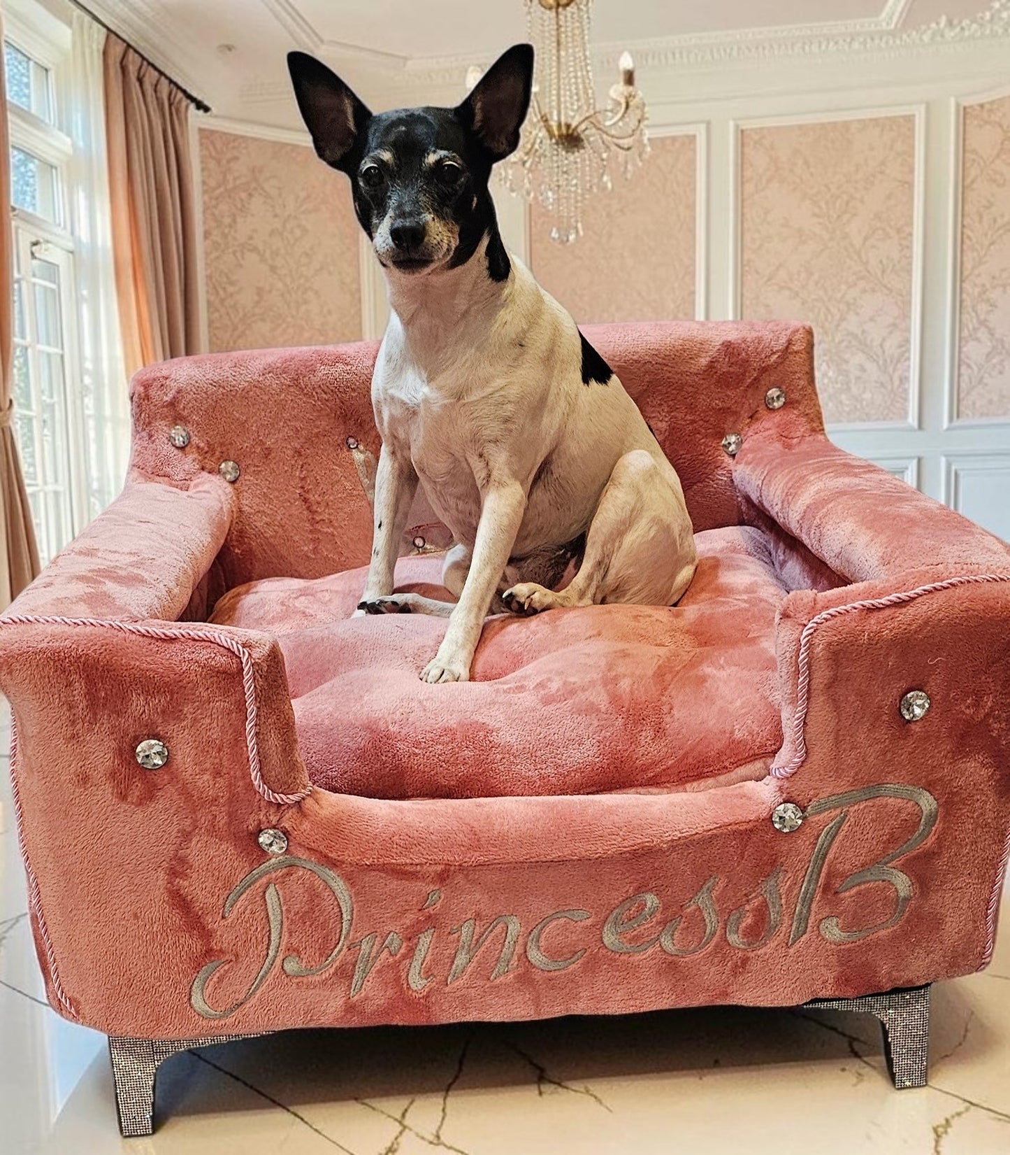 Princess luxury pet bed, personalized pet bed, princess dog bed