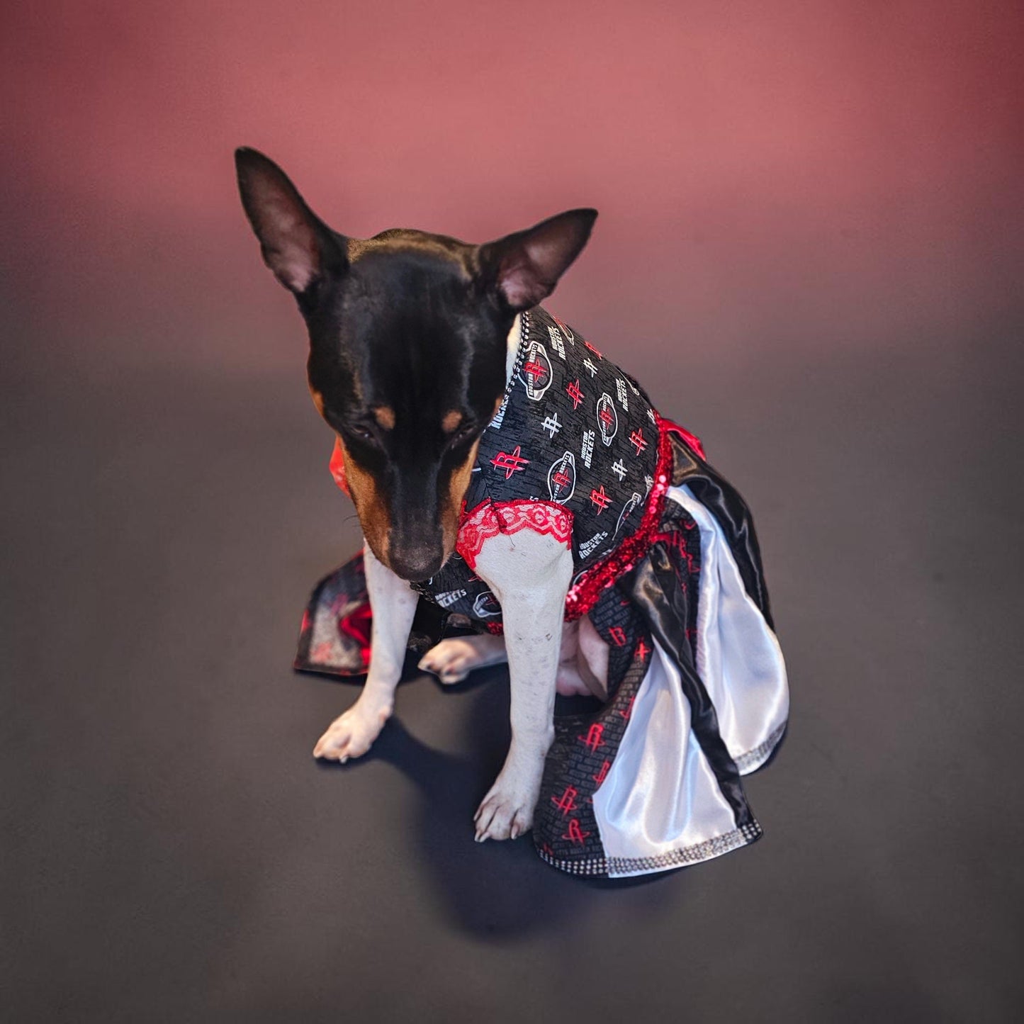 Houston Rockets pet dress, Houston rockets dog dress, Houston rockets cat dress, Rockets basketball pet dress, rockets pet clothes