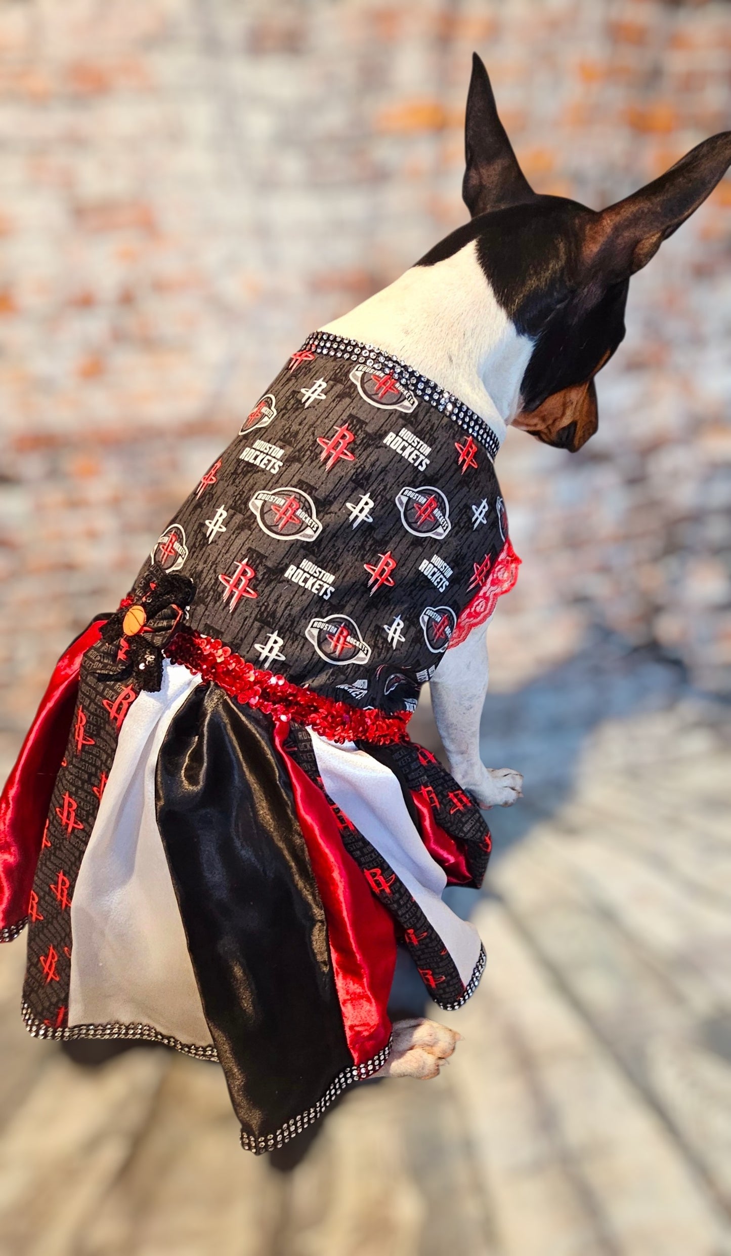 Houston Rockets pet dress, Houston rockets dog dress, Houston rockets cat dress, Rockets basketball pet dress, rockets pet clothes