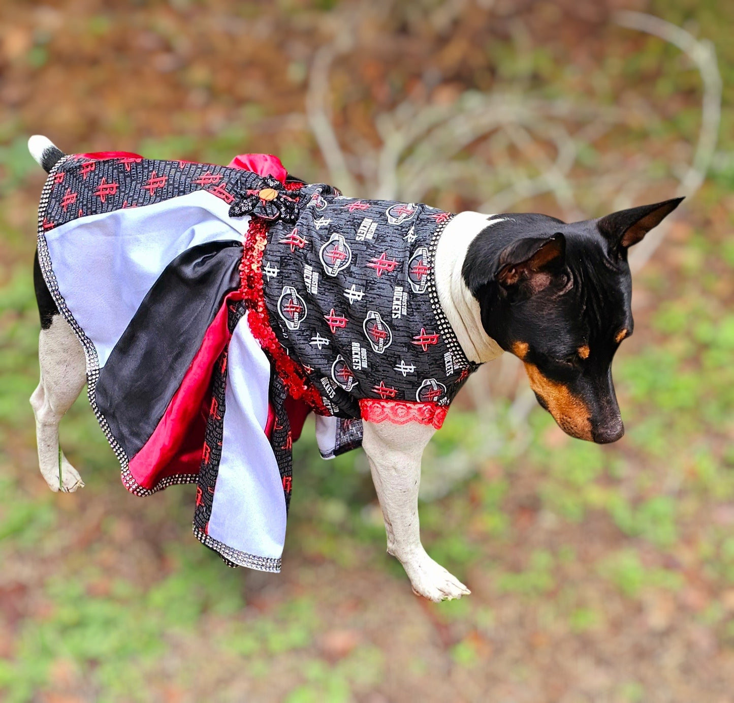 Houston Rockets pet dress, Houston rockets dog dress, Houston rockets cat dress, Rockets basketball pet dress, rockets pet clothes
