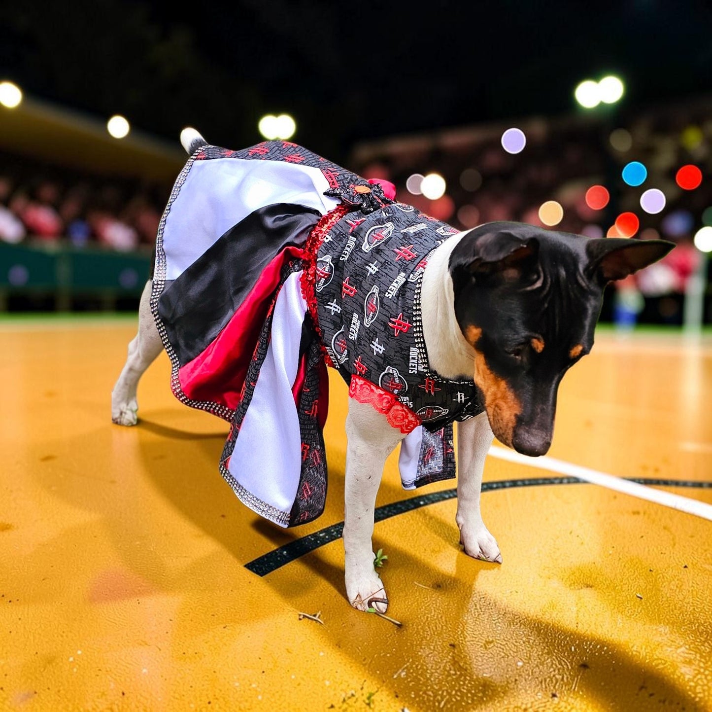 Houston Rockets pet dress, Houston rockets dog dress, Houston rockets cat dress, Rockets basketball pet dress, rockets pet clothes