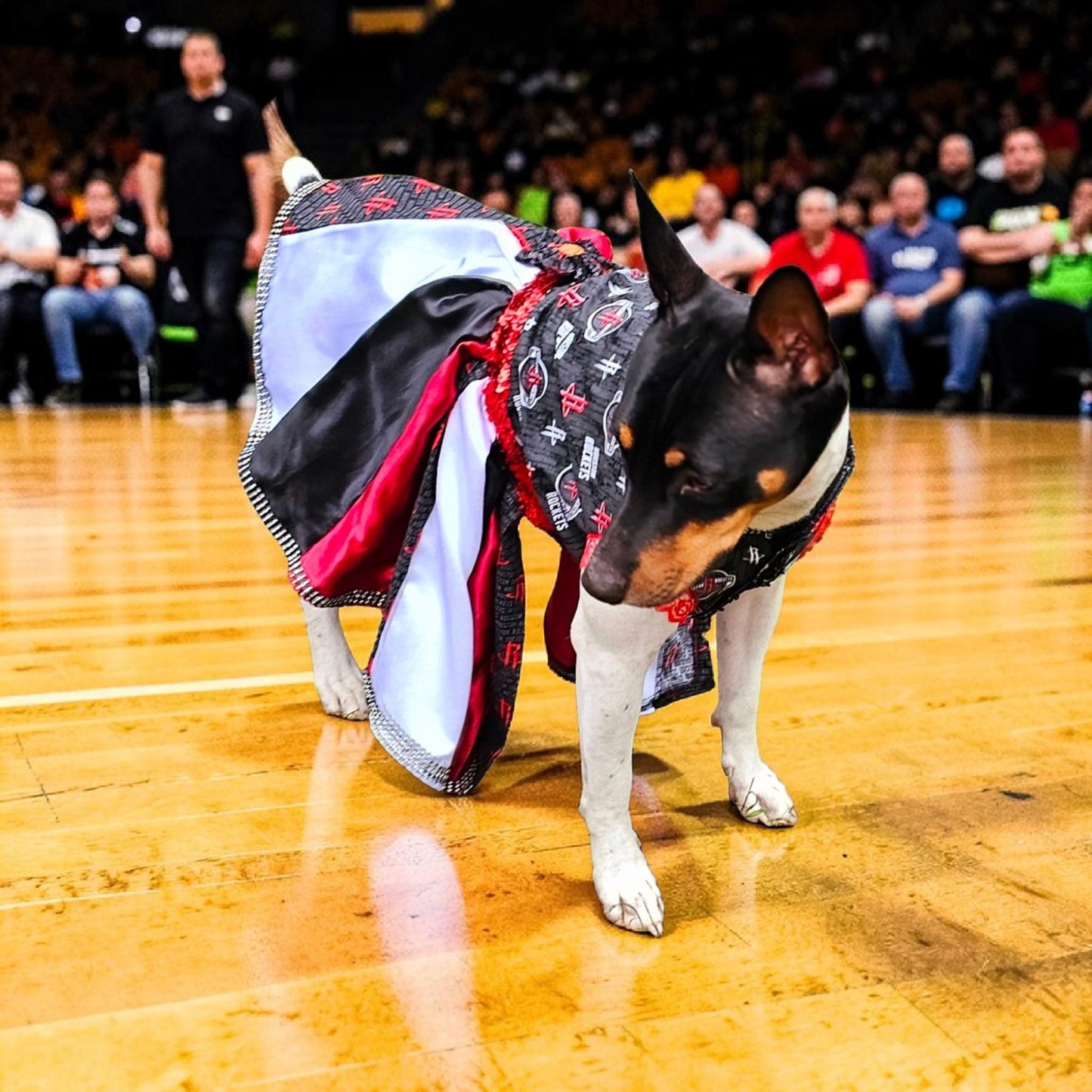 Houston Rockets pet dress, Houston rockets dog dress, Houston rockets cat dress, Rockets basketball pet dress, rockets pet clothes