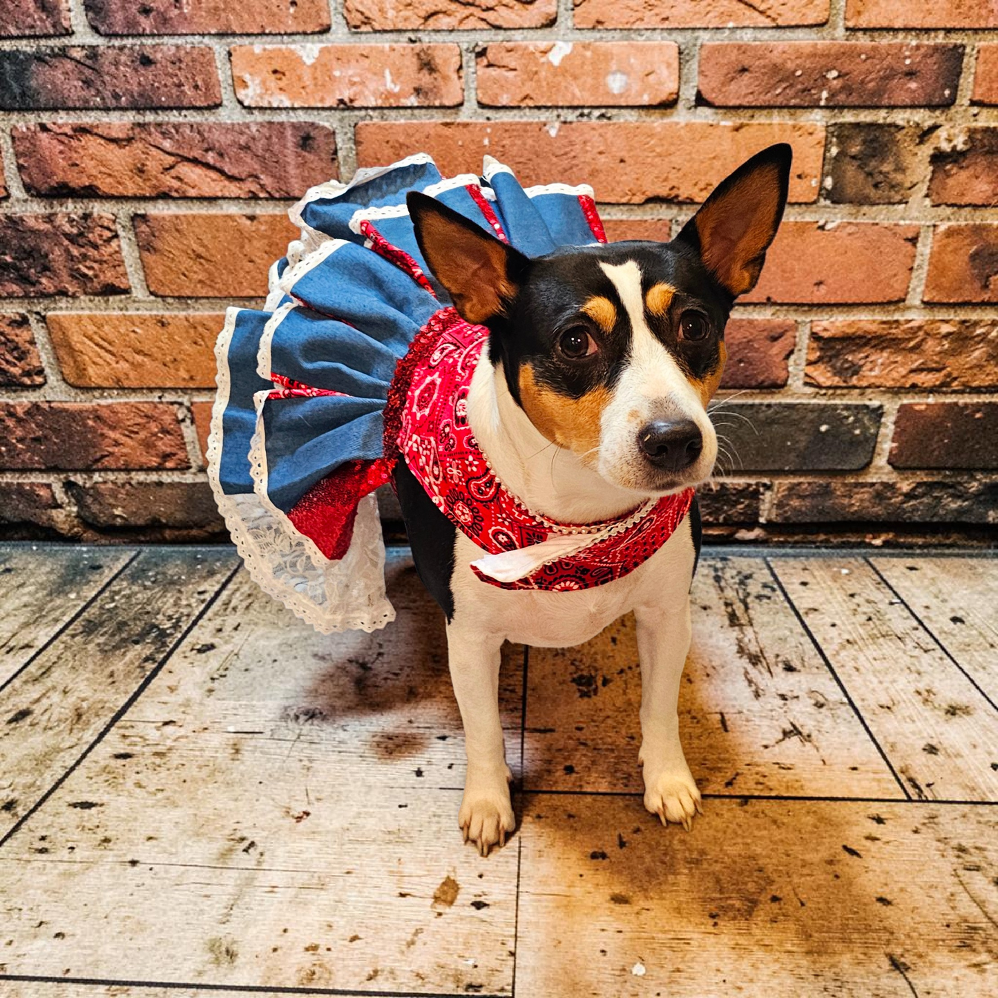 Western cowgirl pet dress, western cowgirl dog dress, western cowgirl cat costume