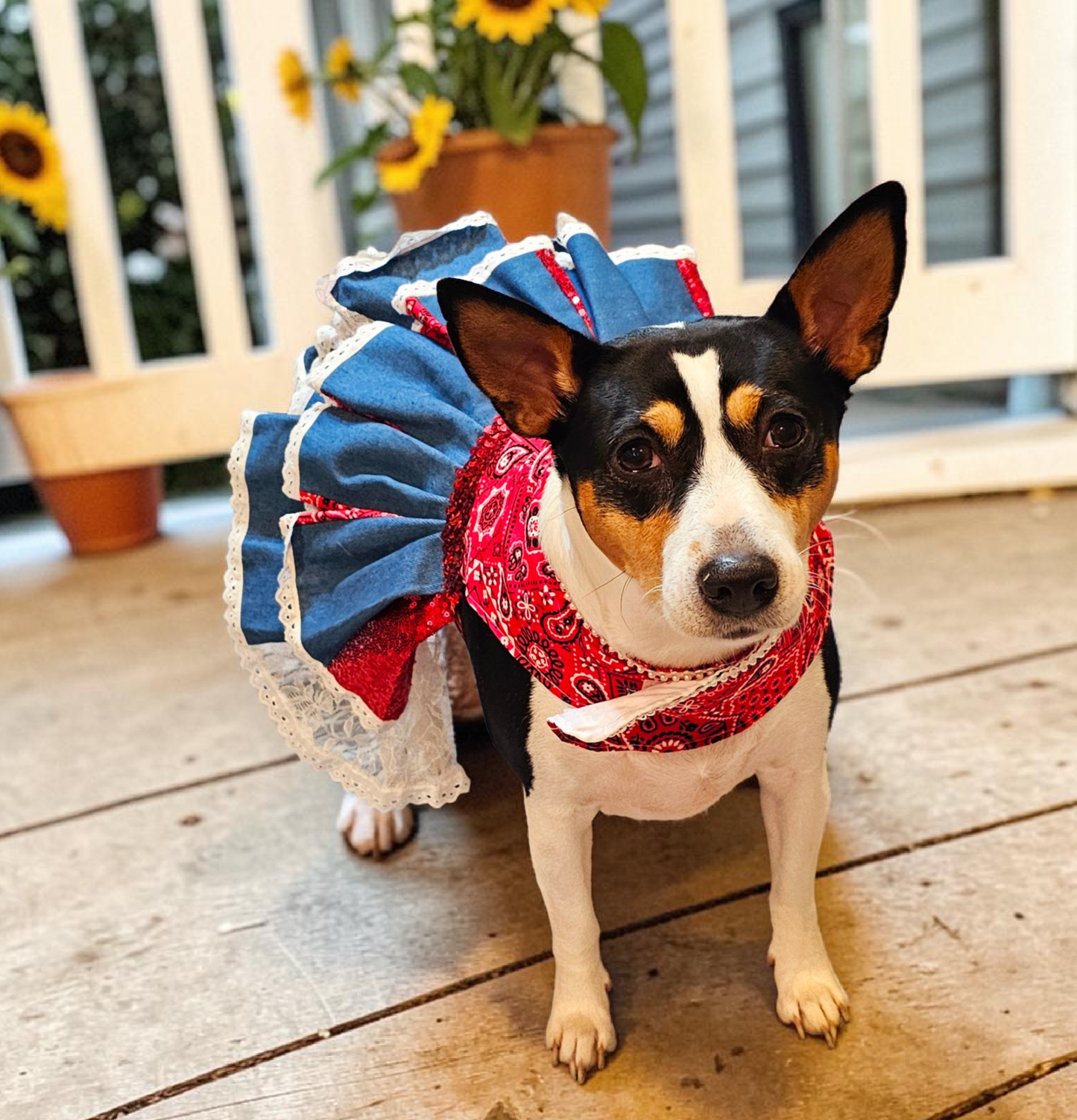 Western cowgirl pet dress, western cowgirl dog dress, western cowgirl cat costume