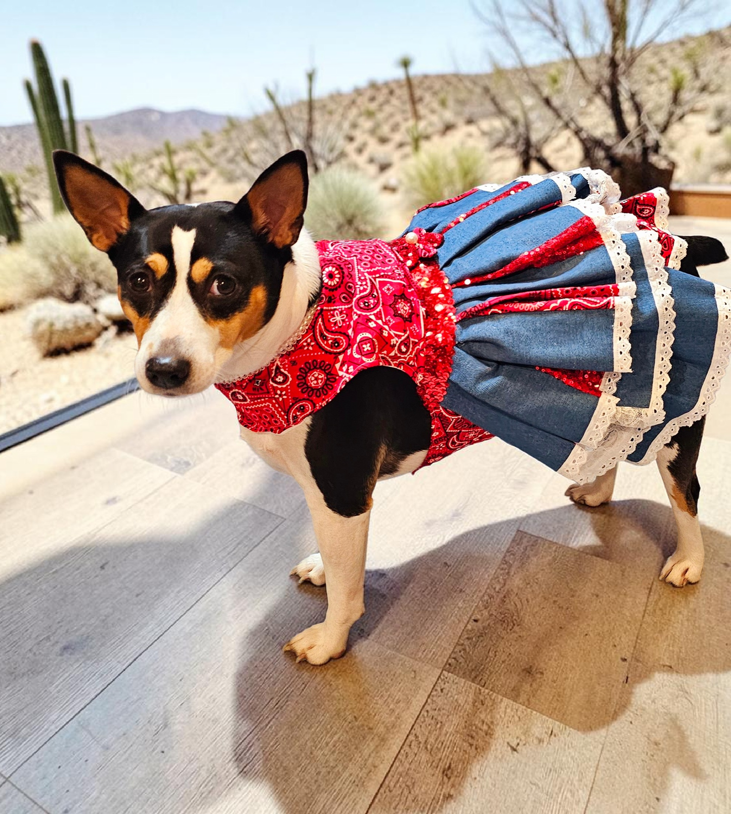 Western cowgirl pet dress, western cowgirl dog dress, western cowgirl cat costume
