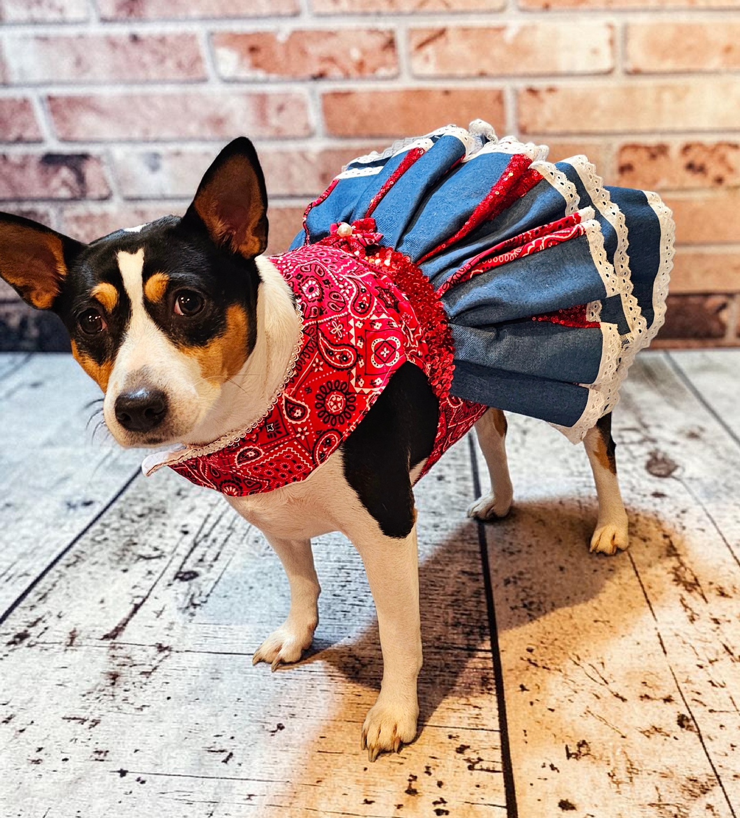 Western cowgirl pet dress, western cowgirl dog dress, western cowgirl cat costume