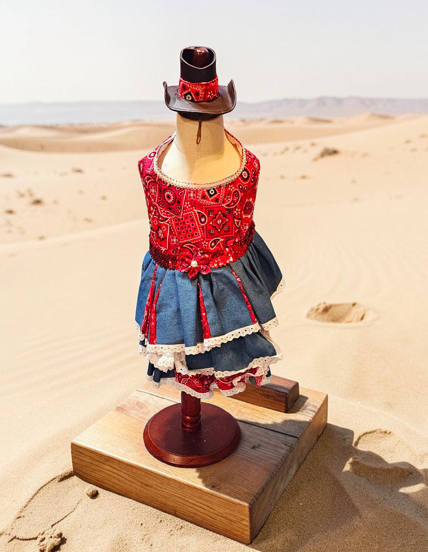 Western cowgirl pet dress, western cowgirl dog dress, western cowgirl cat costume