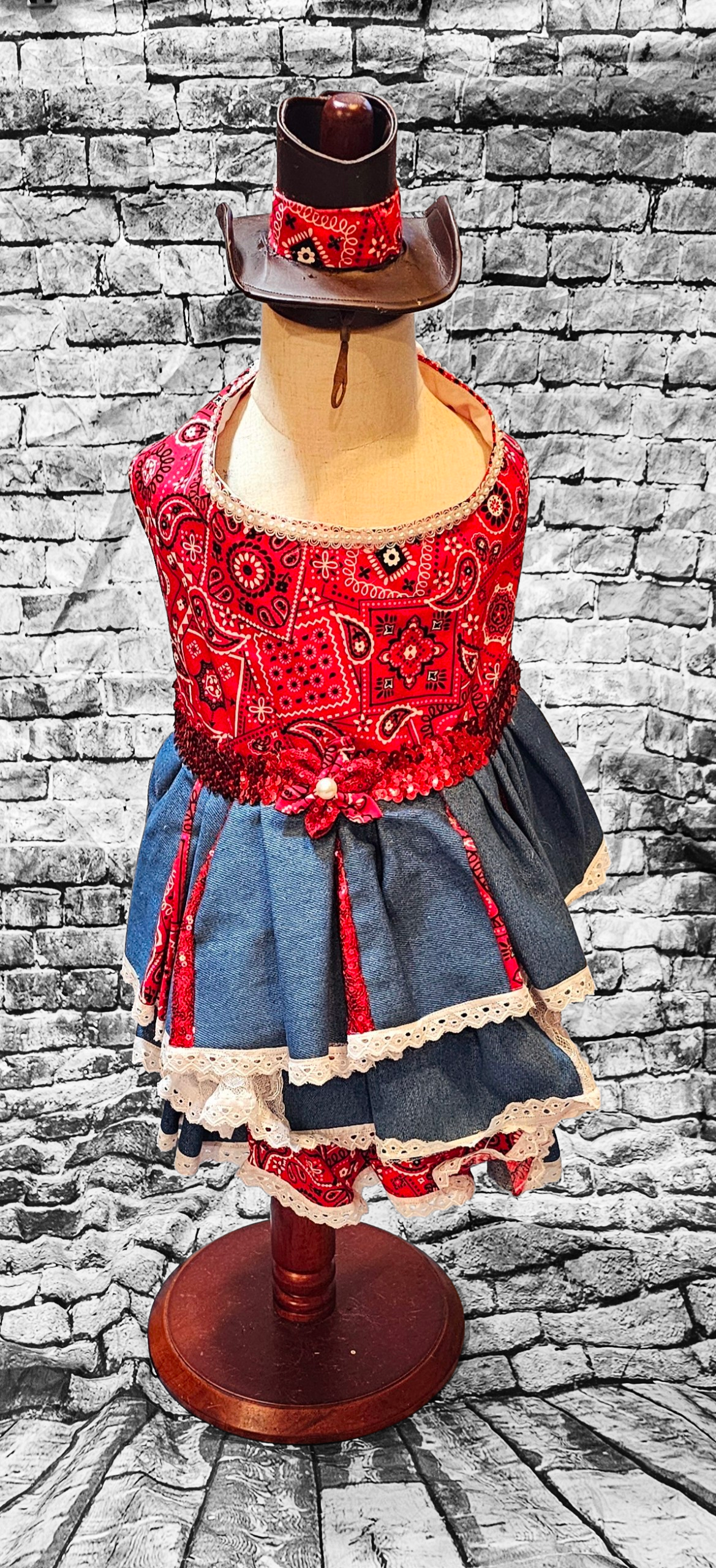 Western cowgirl pet dress, western cowgirl dog dress, western cowgirl cat costume