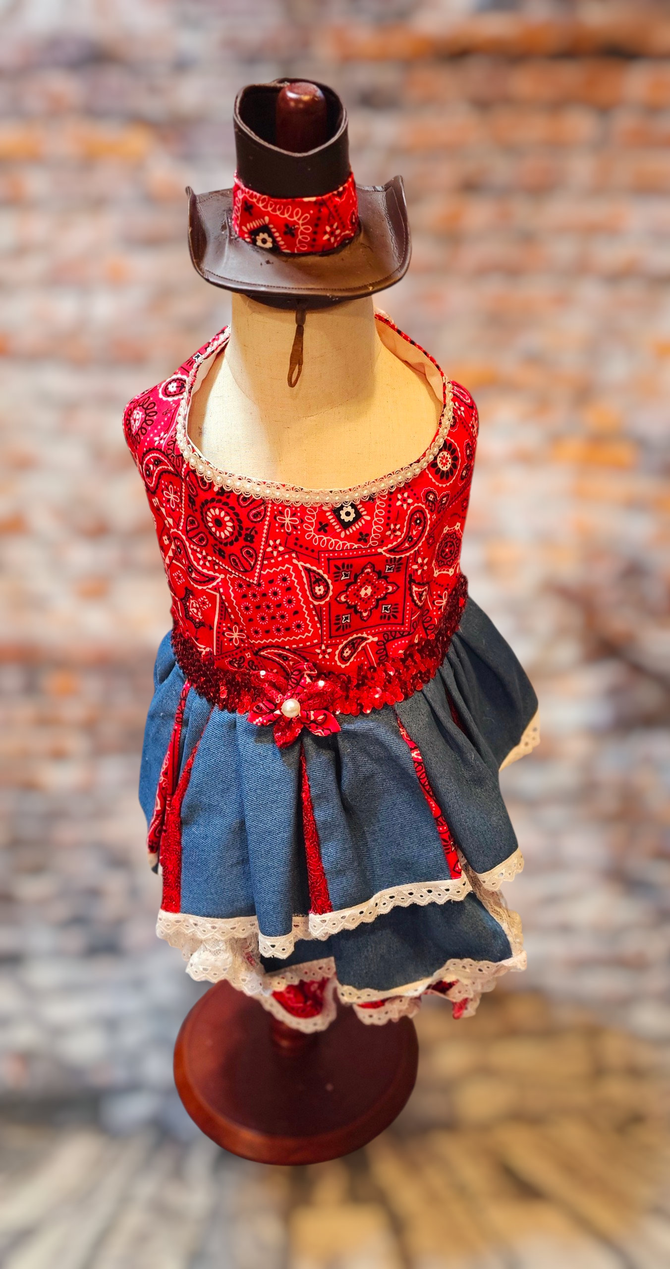 Western cowgirl pet dress, western cowgirl dog dress, western cowgirl cat costume