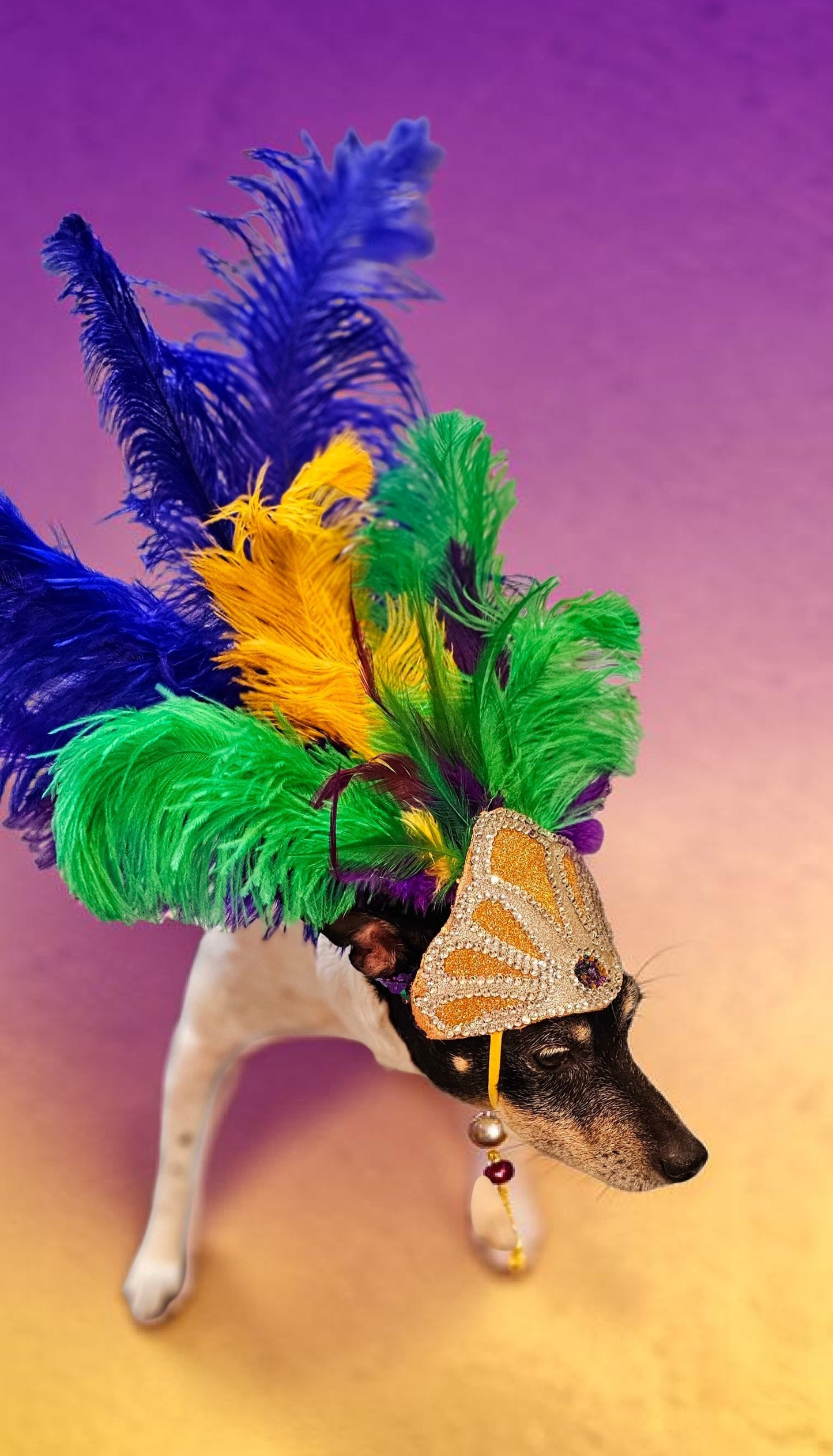 Mardi Gras pet feather showgirl headress, carnival feather pet headress