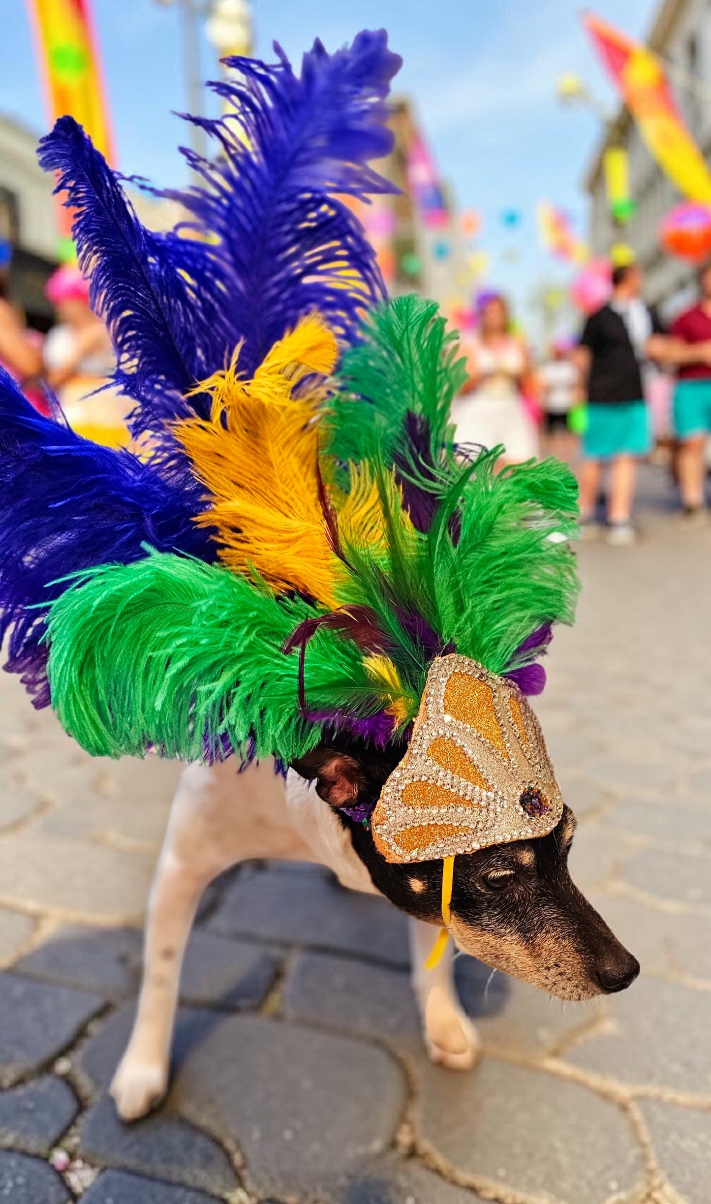 Mardi Gras pet feather showgirl headress, carnival feather pet headress