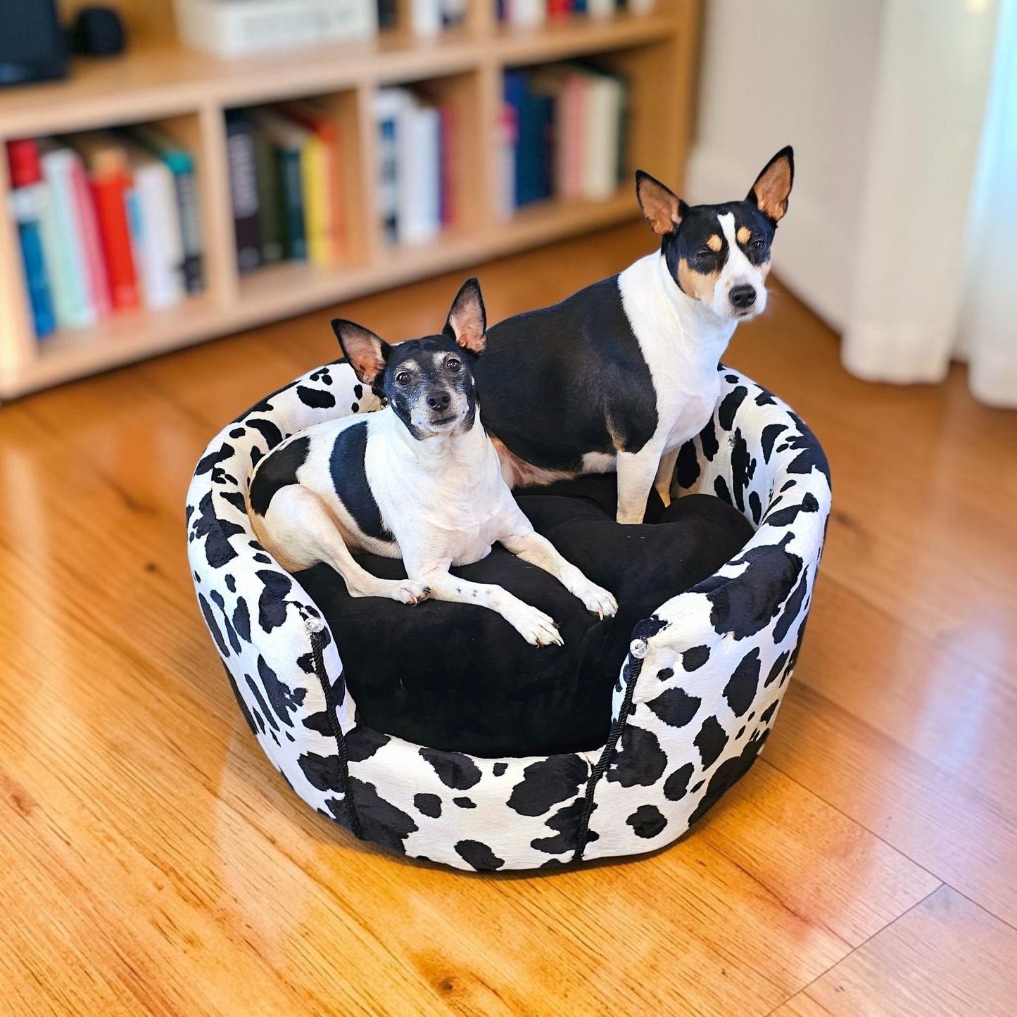 Cow print pet bed, luxury cow pet bed, round cow pet bed