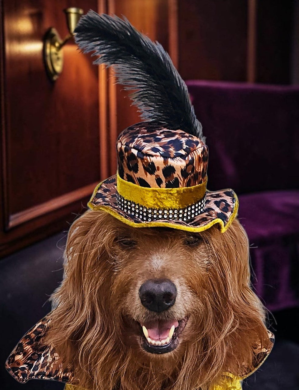 Pimp pet hat, pimp dog hat, gangster pet hat, gangster dog hat, pet pimp hat, pimp cat hat, dog gangster hat, pimp feather pet hat