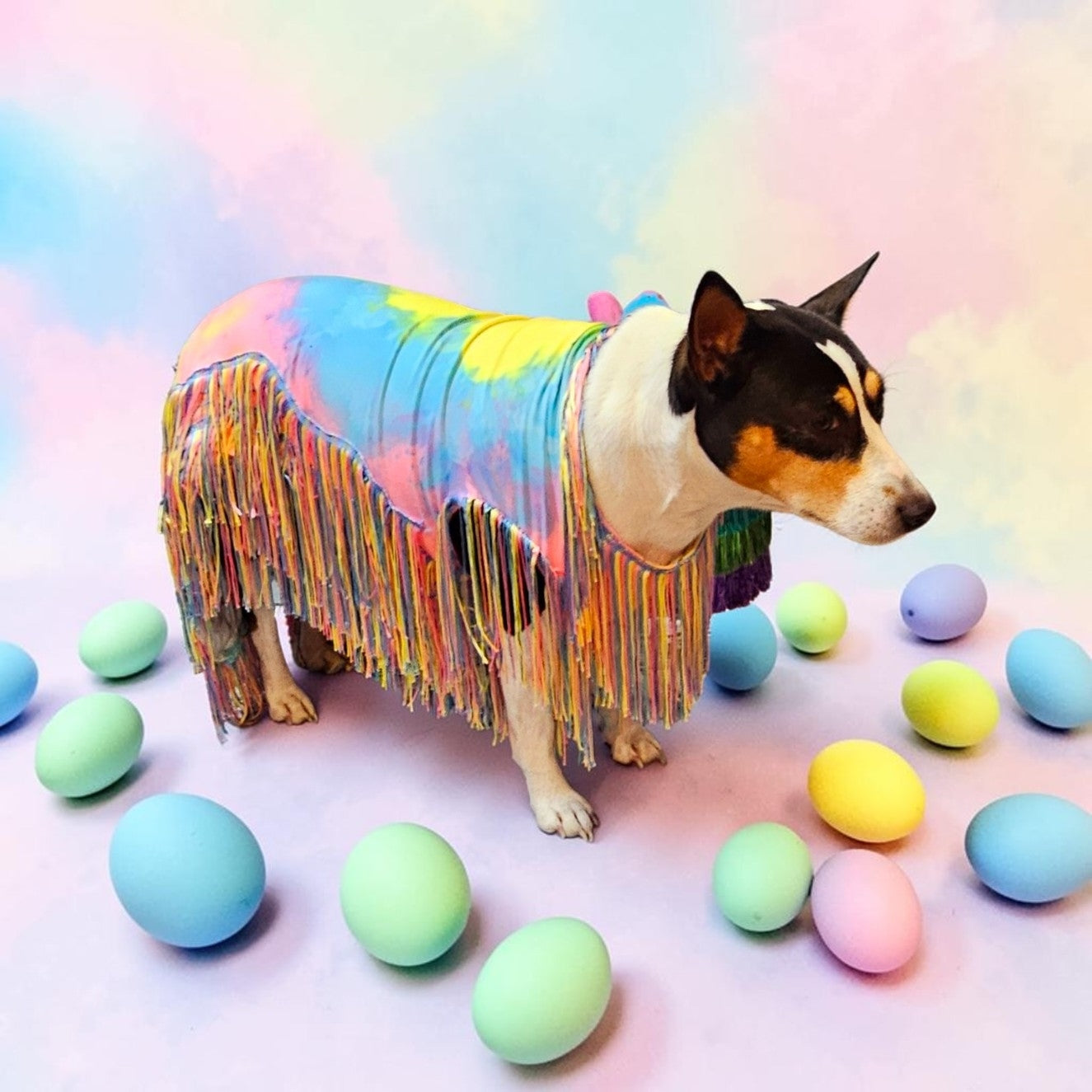 Tie-Dye tassel pet dress, Easter egg pet dress, 70s fringe pet costume, Tie-dye fringe pet costume, fringe dog costume, Tie dye cat dress