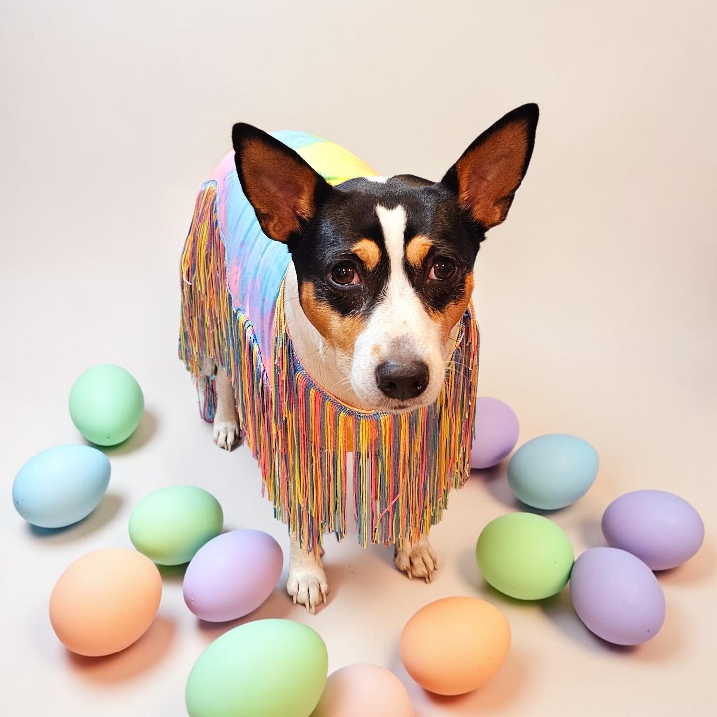 Tie-Dye tassel pet dress, Easter egg pet dress, 70s fringe pet costume, Tie-dye fringe pet costume, fringe dog costume, Tie dye cat dress