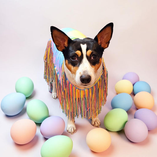 Tie-Dye tassel pet dress, Easter egg pet dress, 70s fringe pet costume, Tie-dye fringe pet costume, fringe dog costume, Tie dye cat dress
