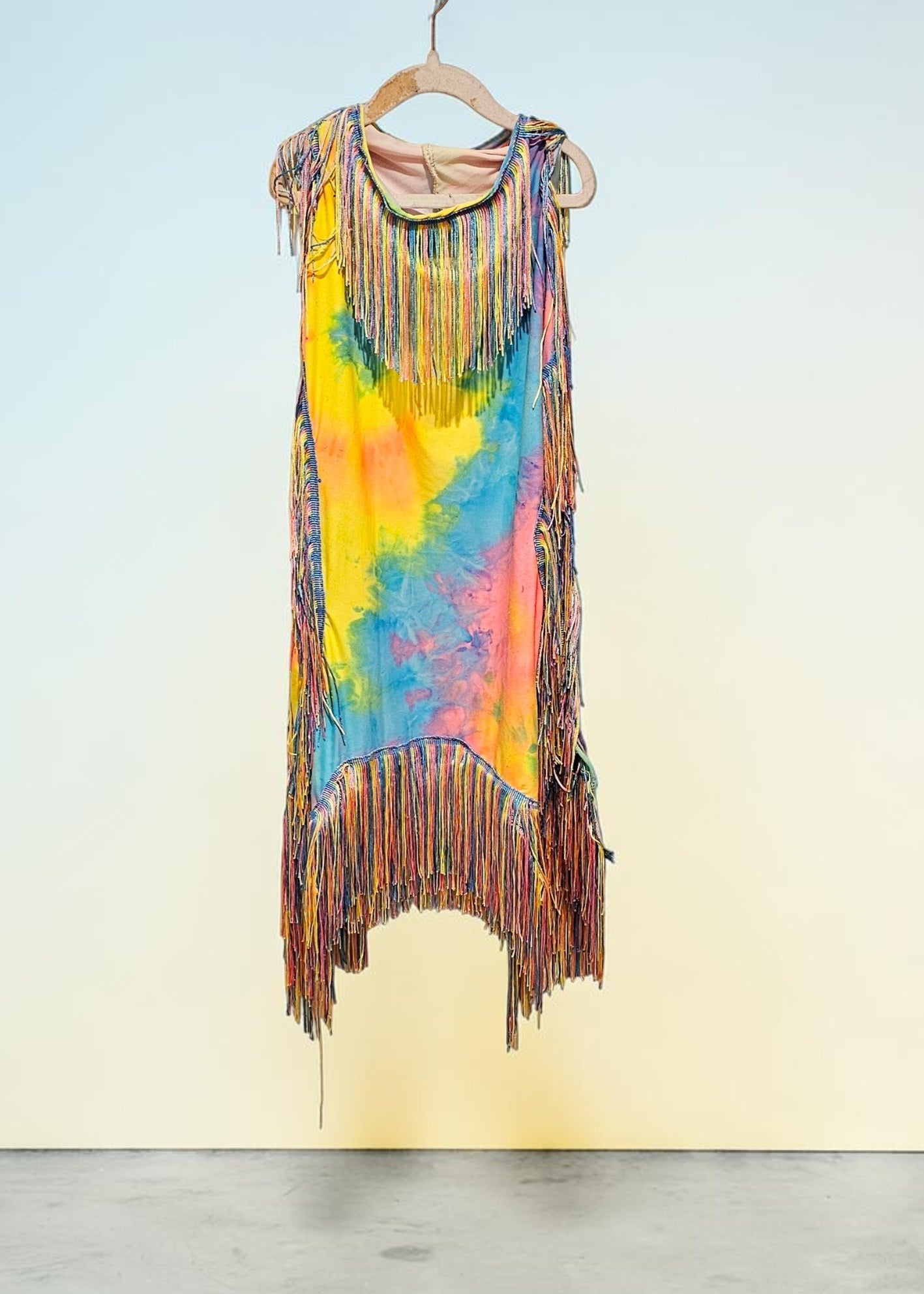 Tie-Dye tassel pet dress, Easter egg pet dress, 70s fringe pet costume, Tie-dye fringe pet costume, fringe dog costume, Tie dye cat dress