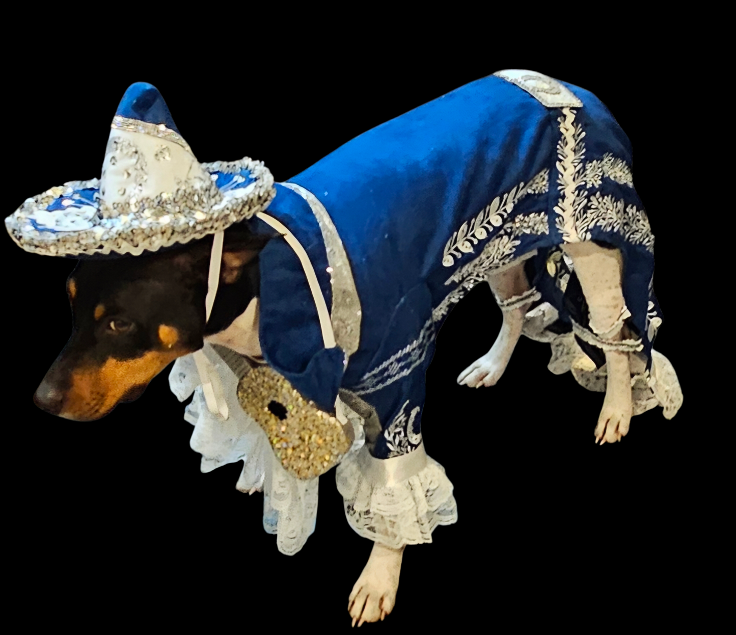 Mariachi Pet costume, Mariachi dog costume, Charro pet costume, Cinco De Mayo Pet Costume
