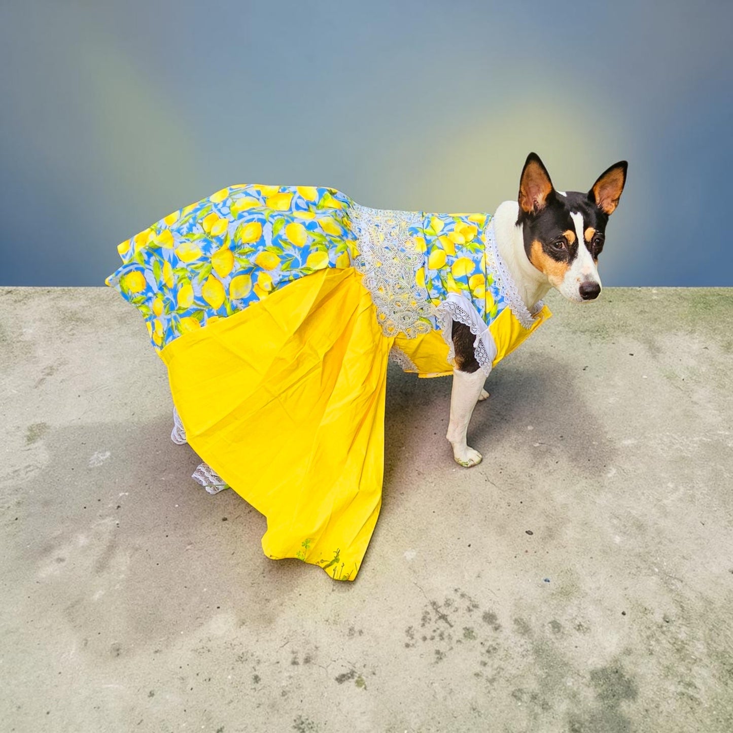 Lemon pet dress, lemon print dog dress, lemon cat dress, pet lemon dress