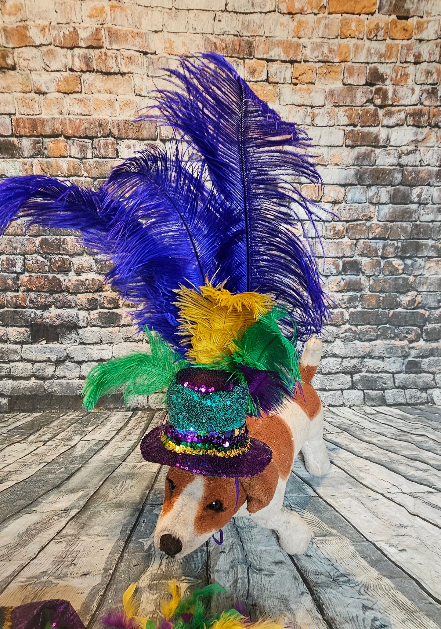 Mardi Gras Sequin feather pet hat, Fat Tuesday sequin pet hat, Feather Pet top hat
