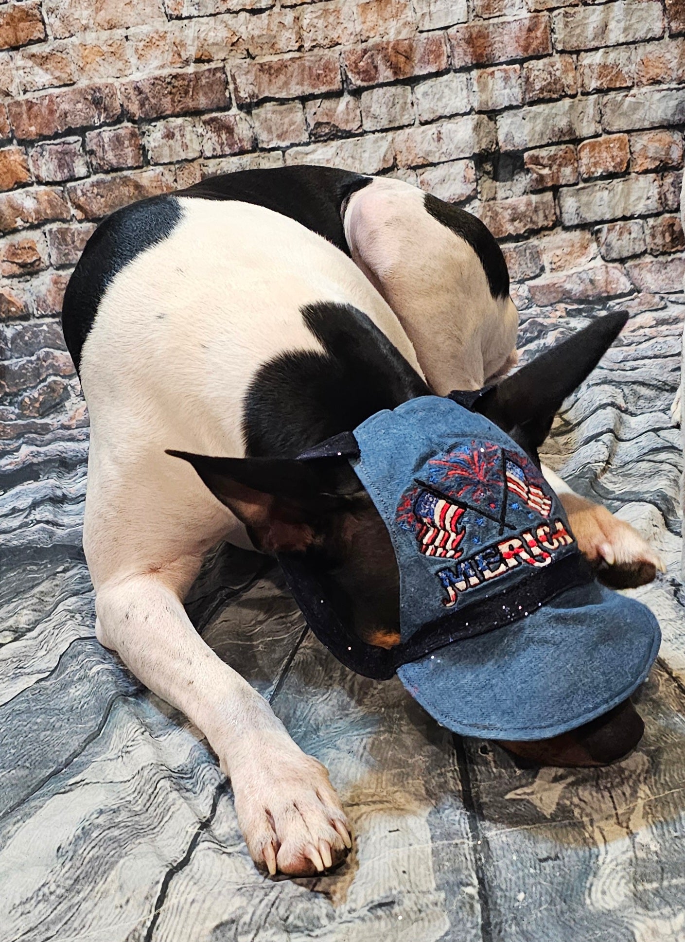 Patriotic Blue Jean pet hat, personalized pet hat, blue jean USA pet hat