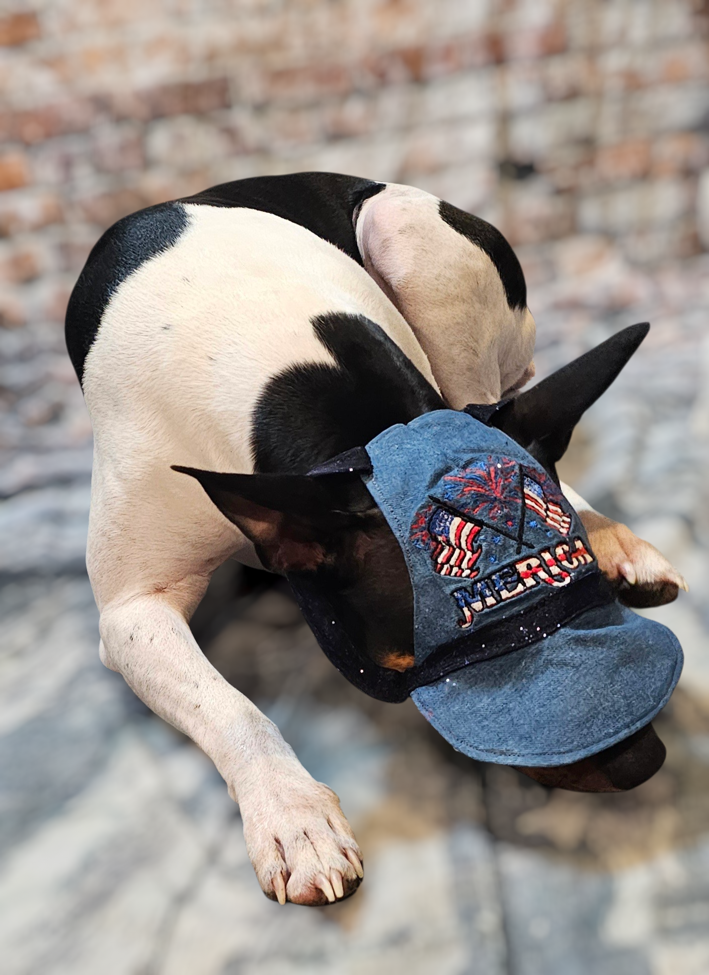 Patriotic Blue Jean pet hat, personalized pet hat, blue jean USA pet hat