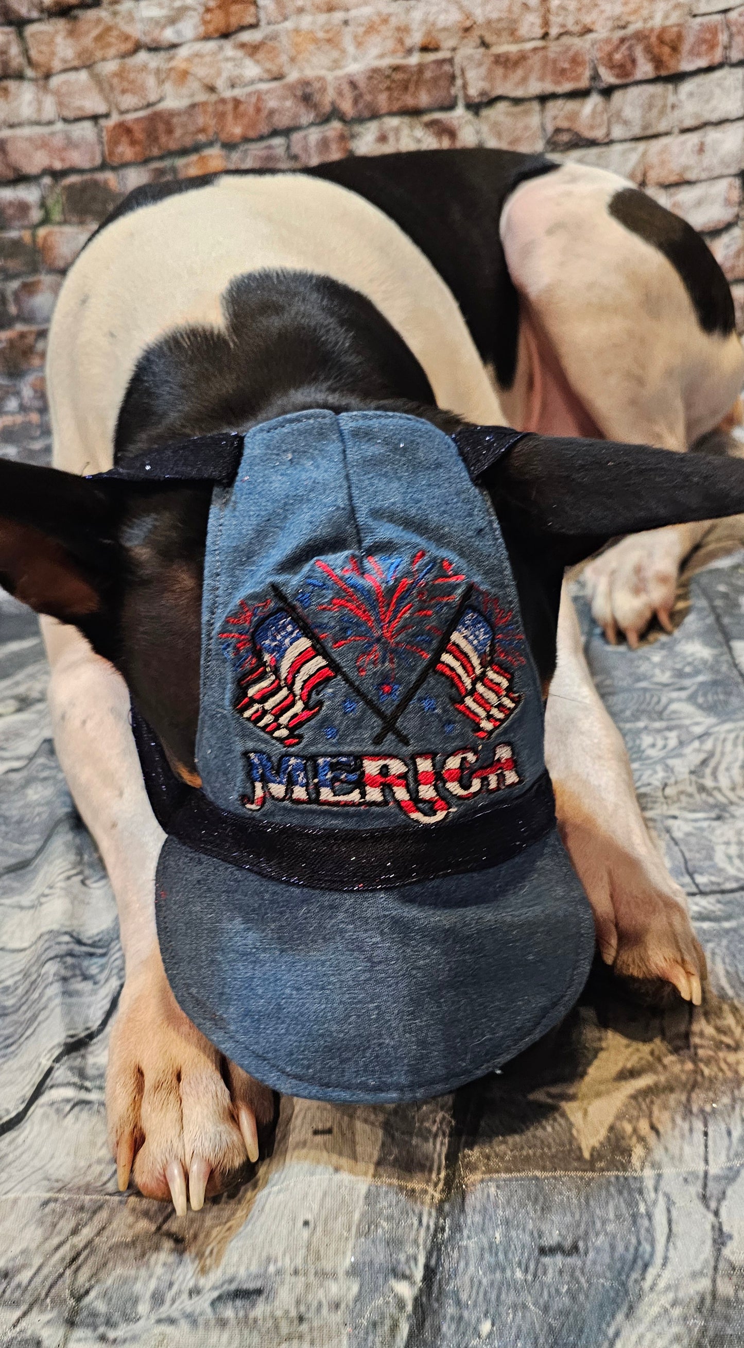 Patriotic Blue Jean pet hat, personalized pet hat, blue jean USA pet hat