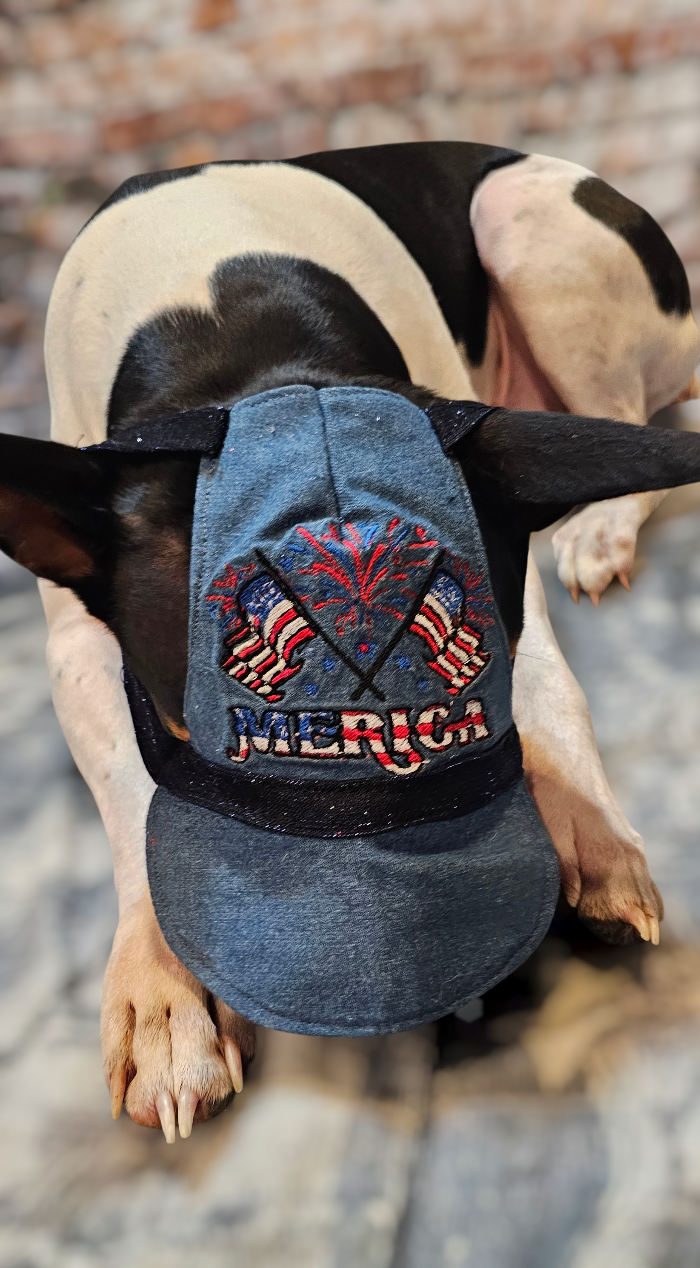 Patriotic Blue Jean pet hat, personalized pet hat, blue jean USA pet hat