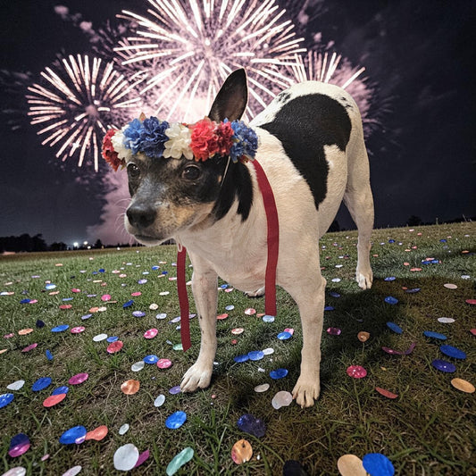 Flower crown for pets, pet flower chaplets, flower head wreath for pets, patriotic flower crown pets