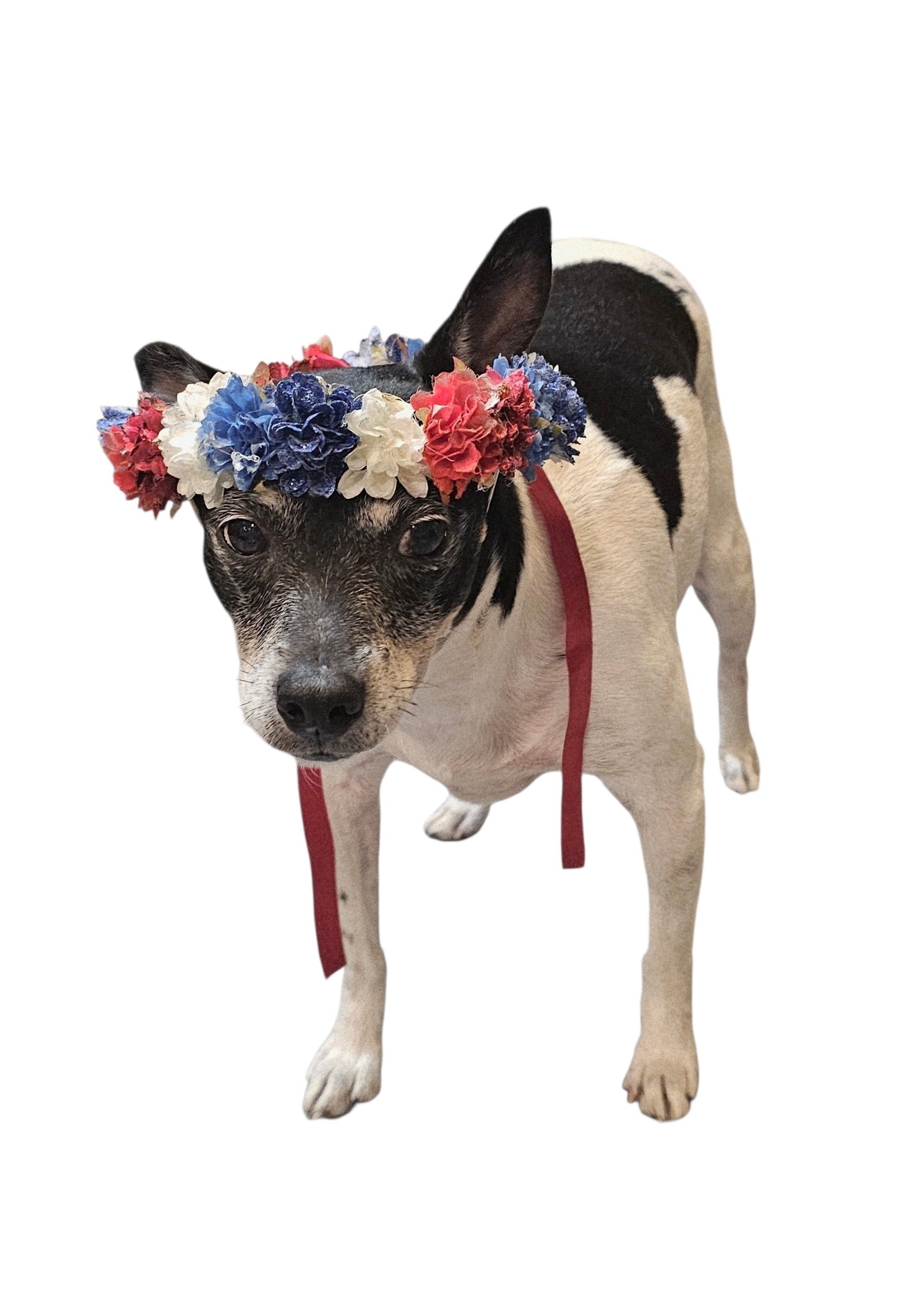 Flower crown for pets, pet flower chaplets, flower head wreath for pets, patriotic flower crown pets