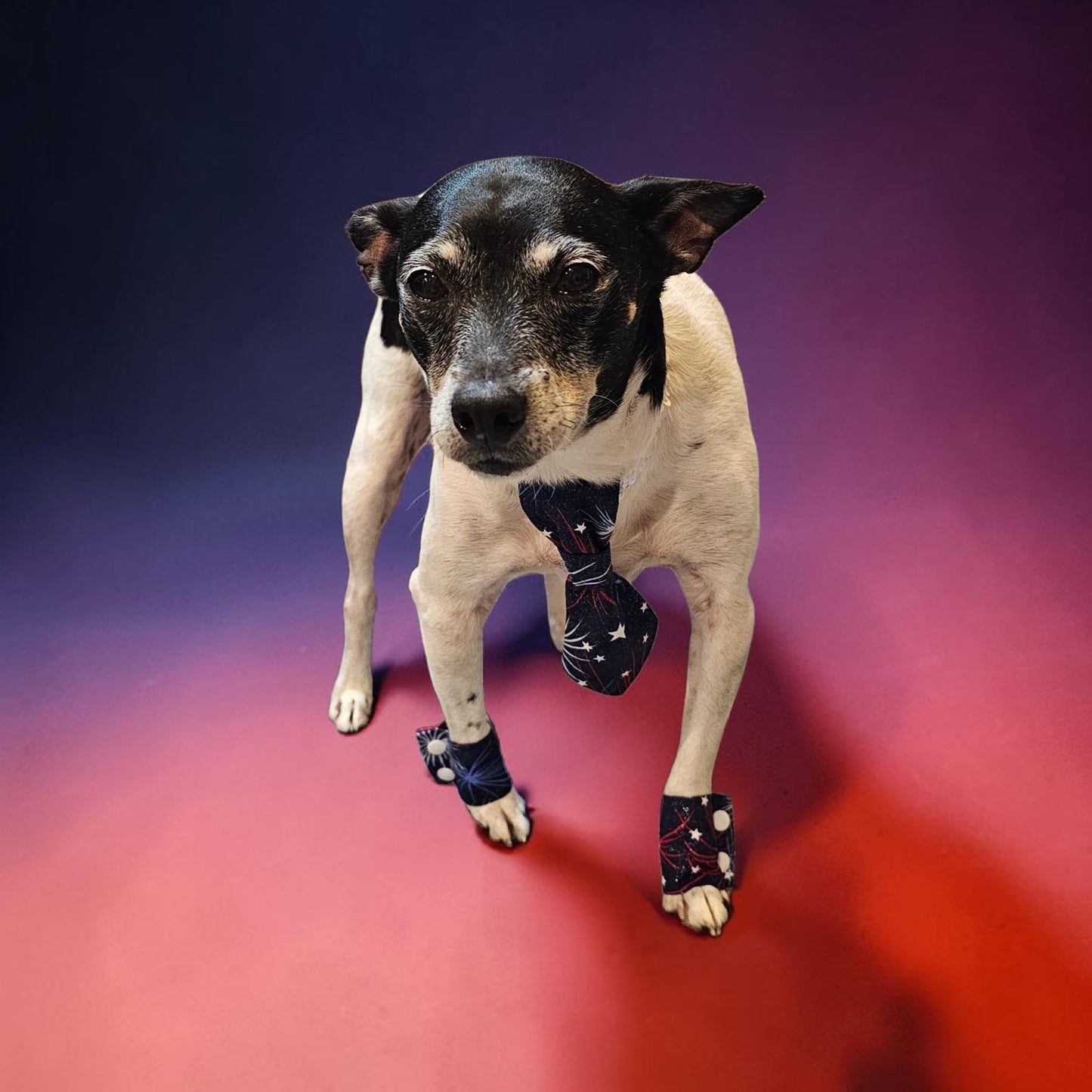Patriotic Pet Tie and cuffs, Tie and cuffs for pets