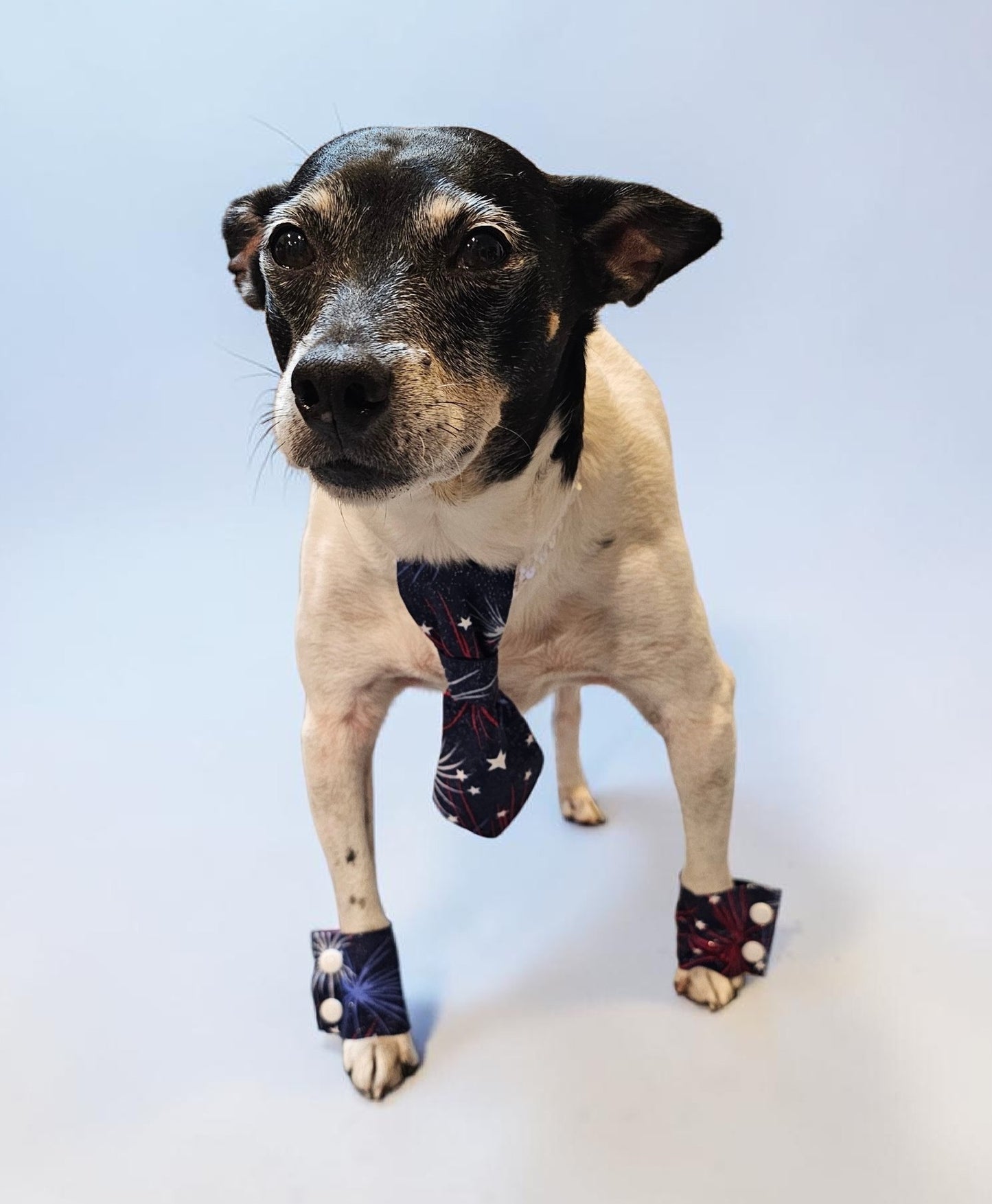 Patriotic Pet Tie and cuffs, Tie and cuffs for pets